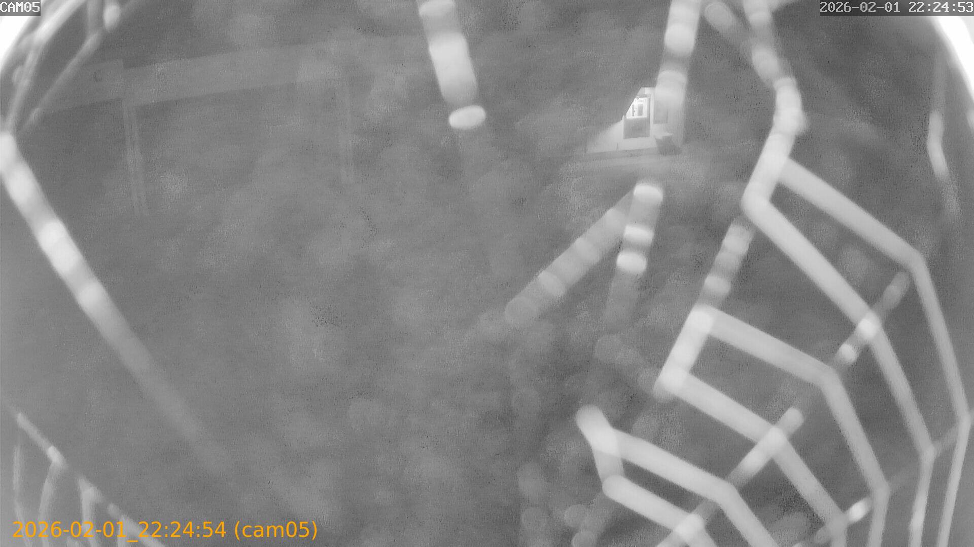 thumbnail_20260201222454