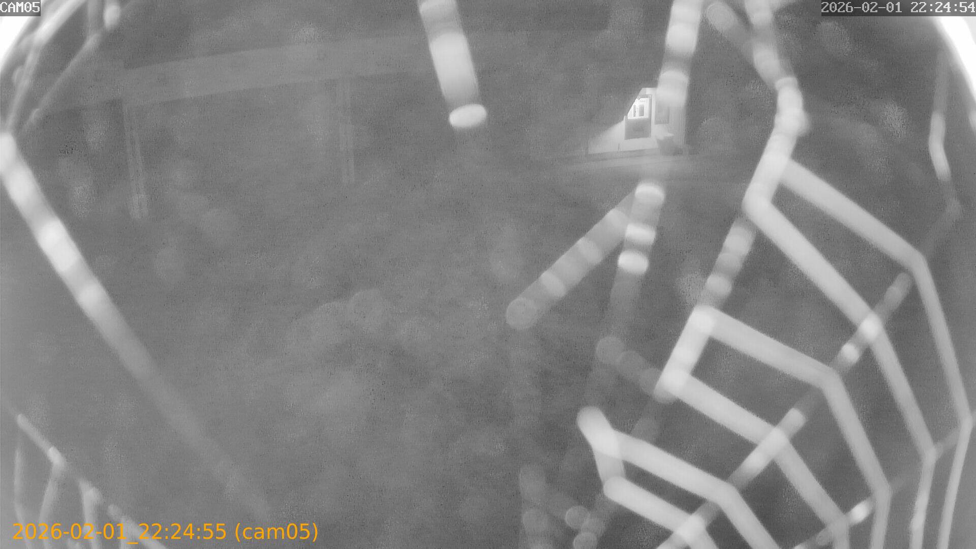 thumbnail_20260201222455