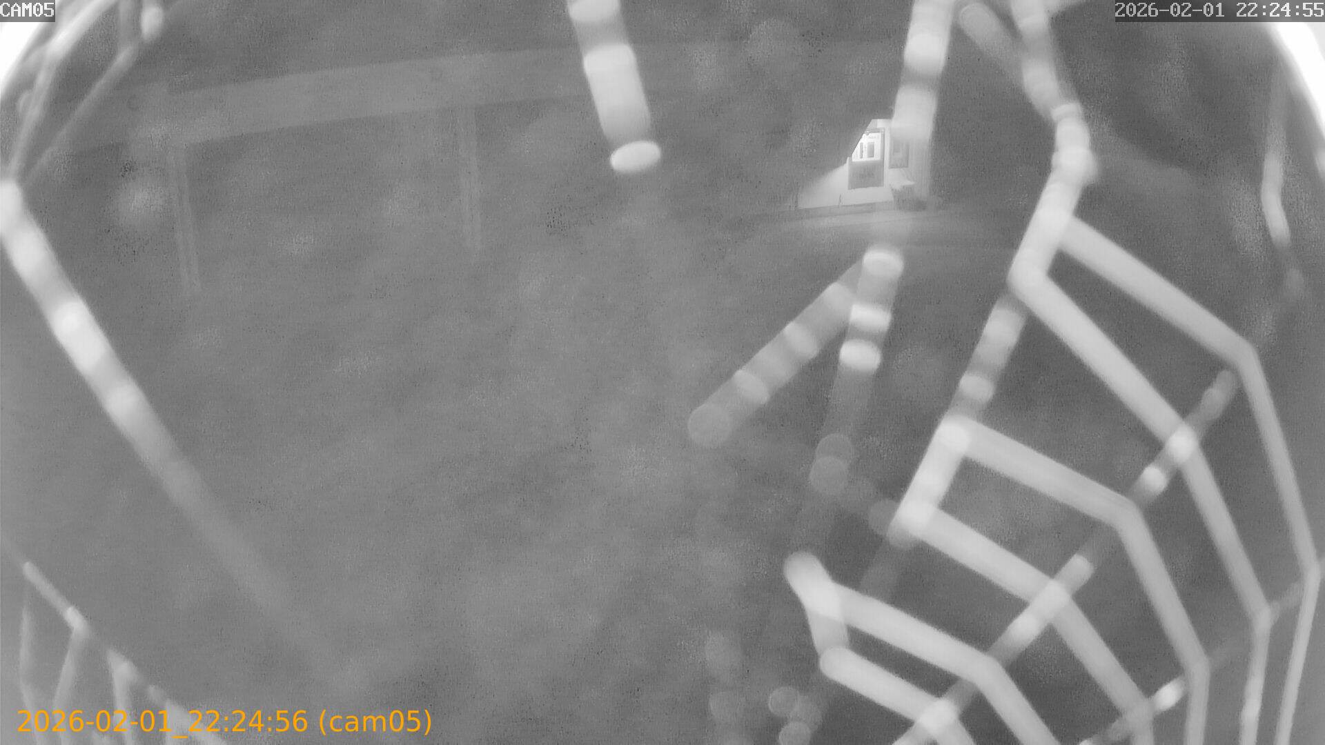 thumbnail_20260201222456