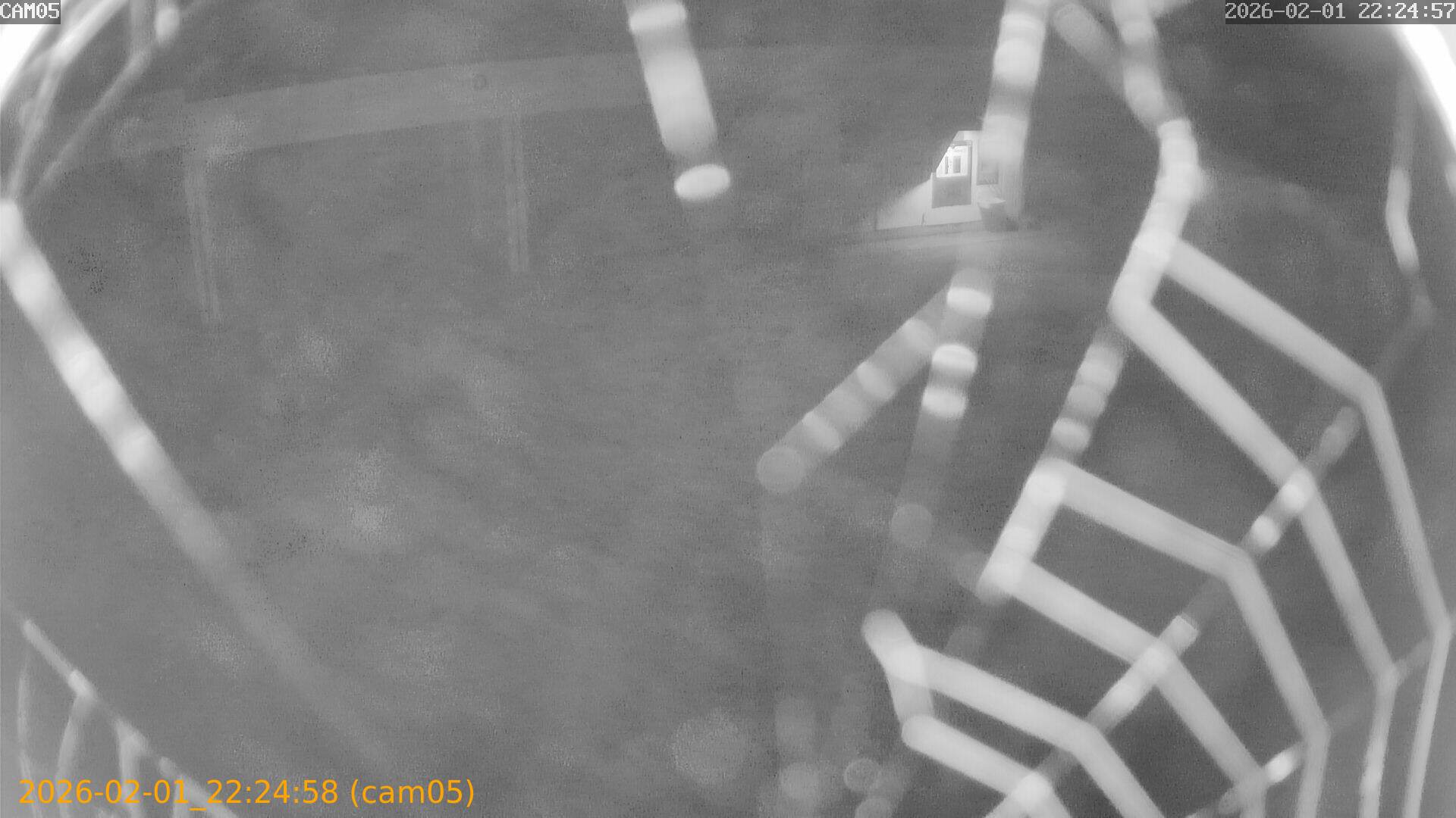 thumbnail_20260201222458