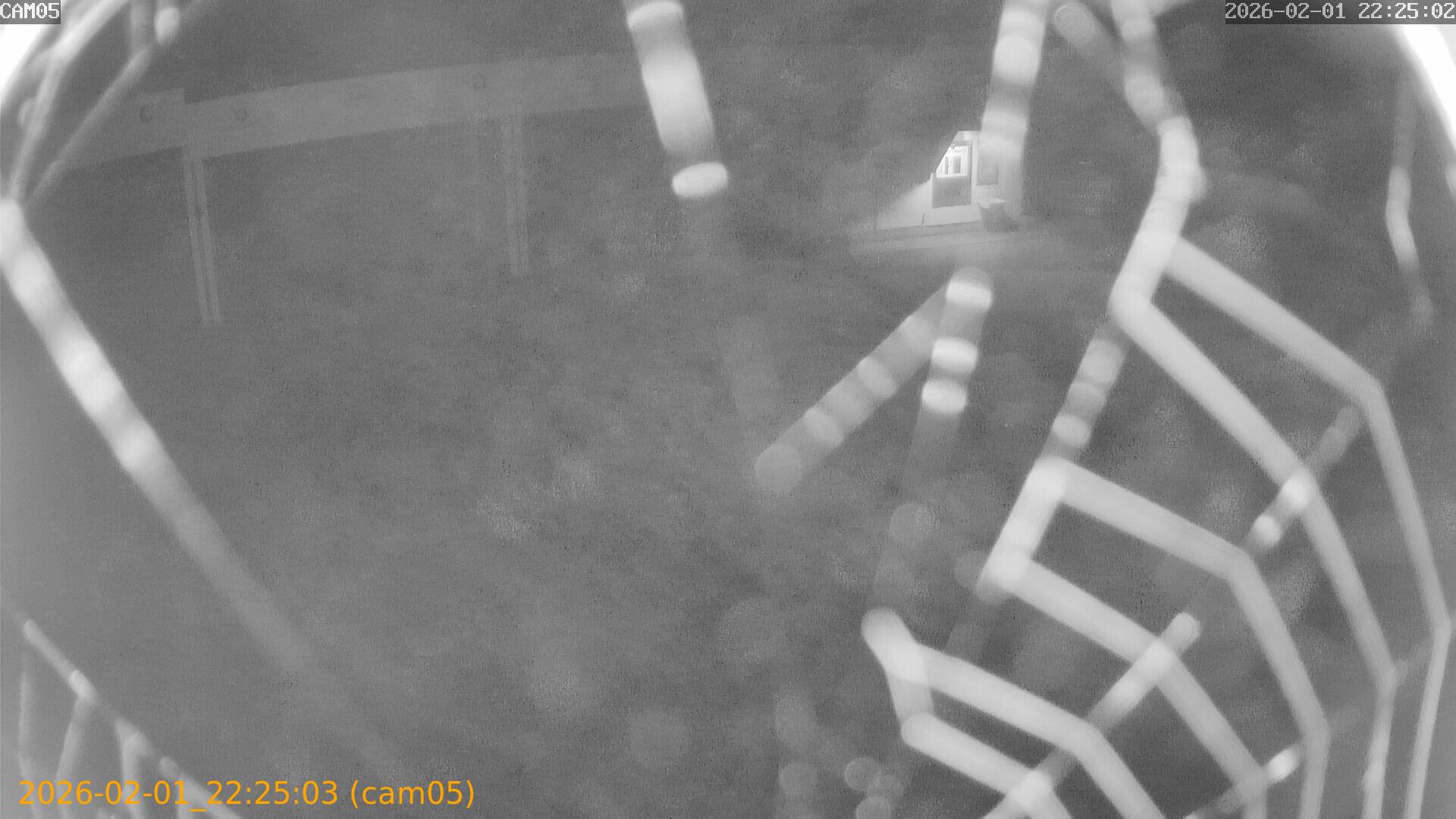 thumbnail_20260201222503