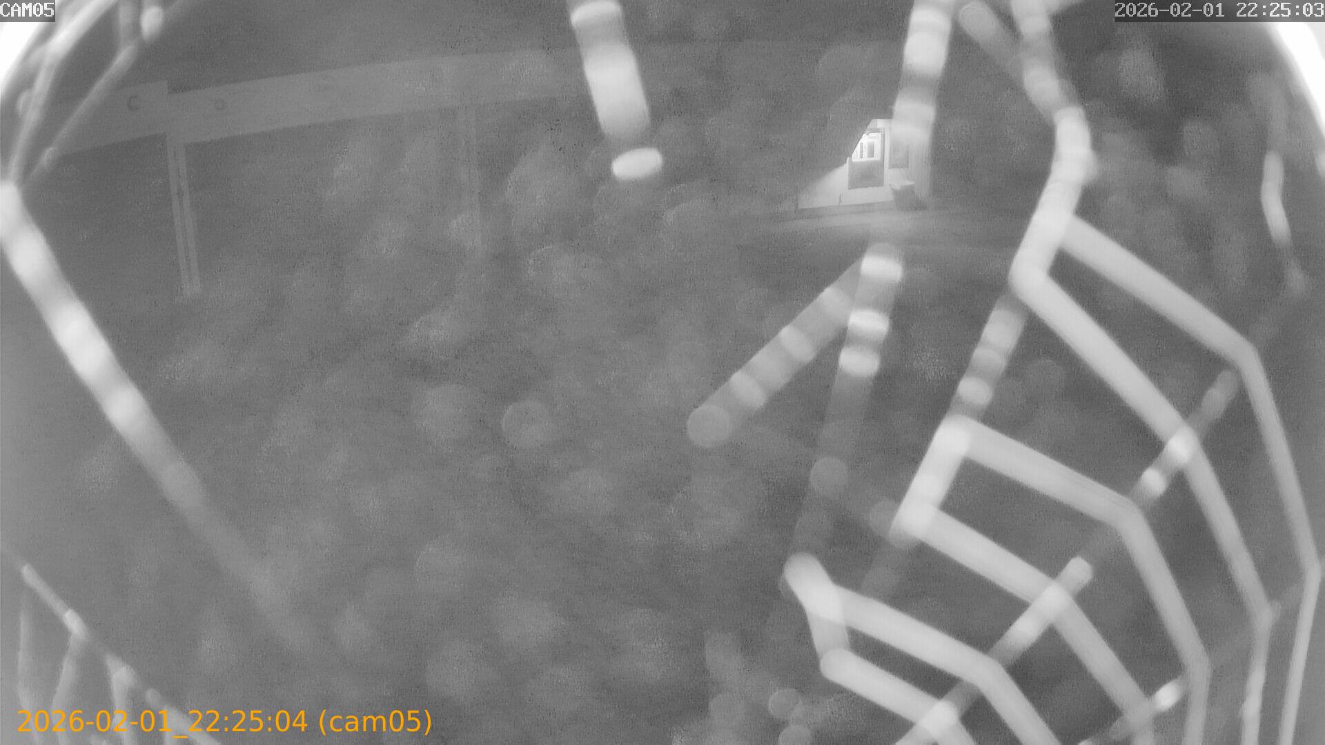 thumbnail_20260201222504