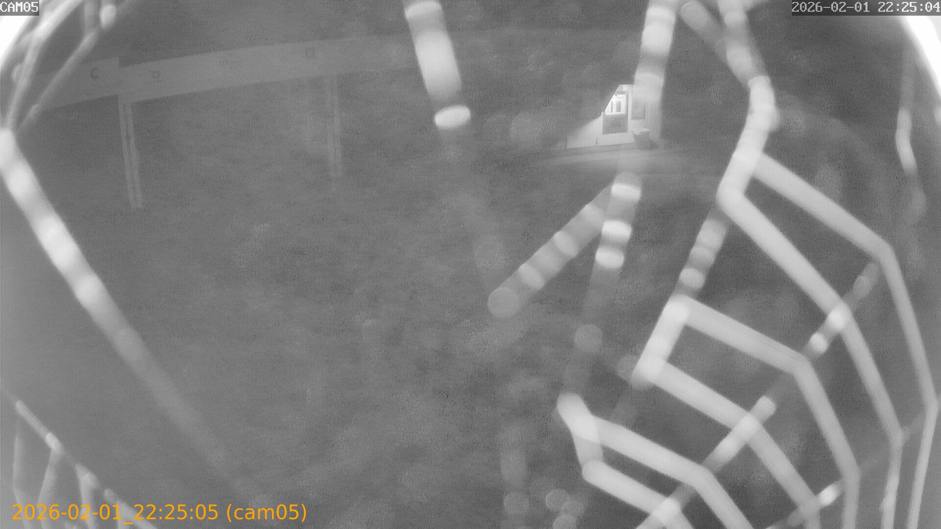 thumbnail_20260201222505