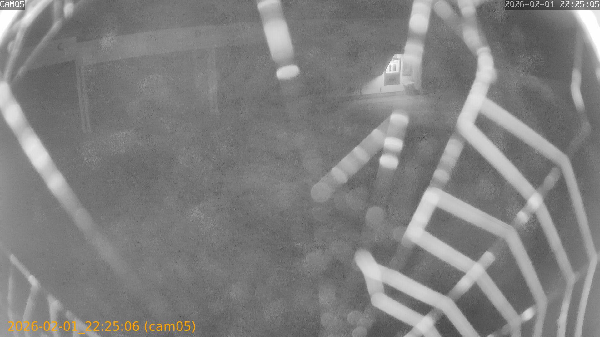 thumbnail_20260201222506