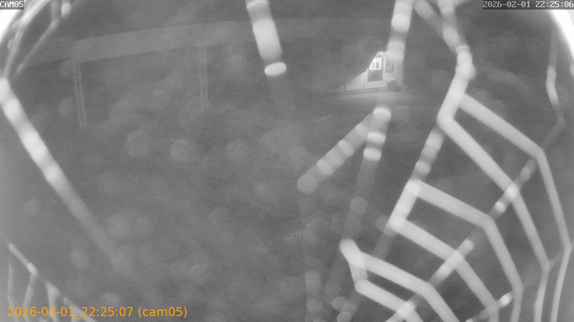 thumbnail_20260201222507