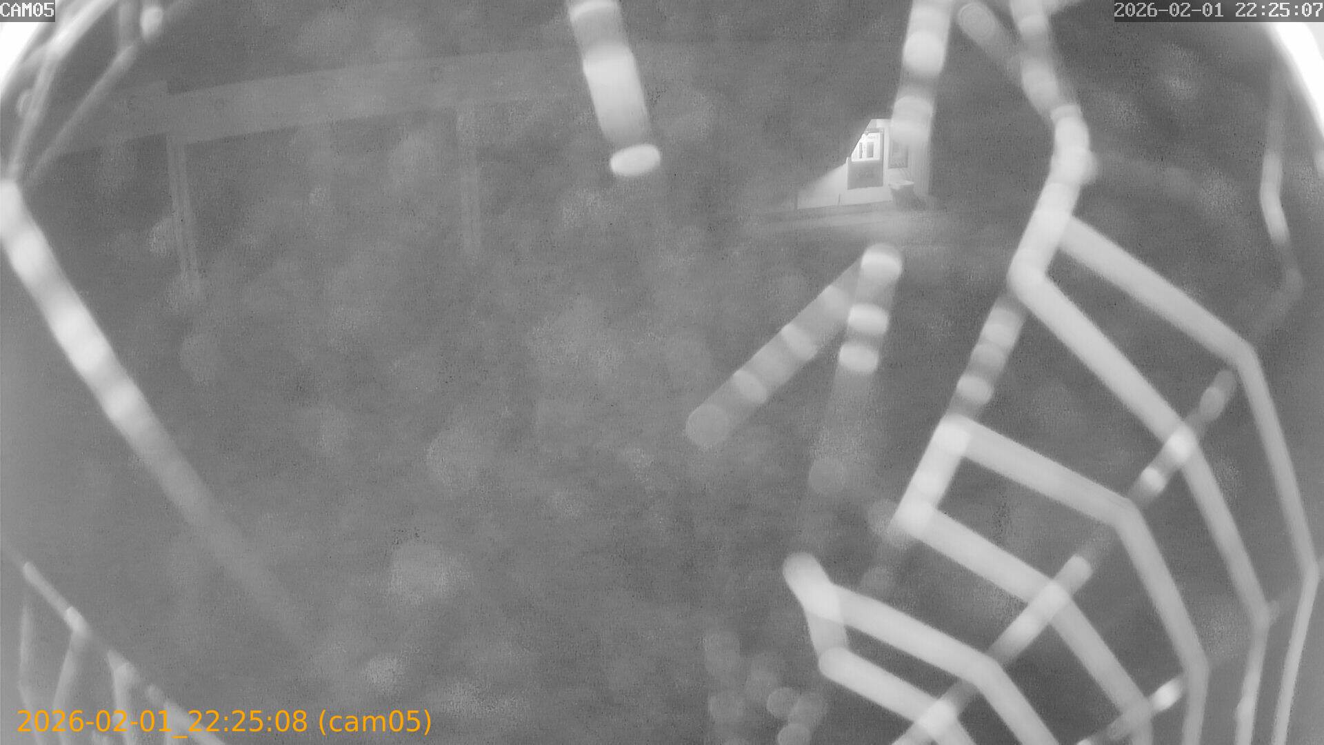 thumbnail_20260201222508