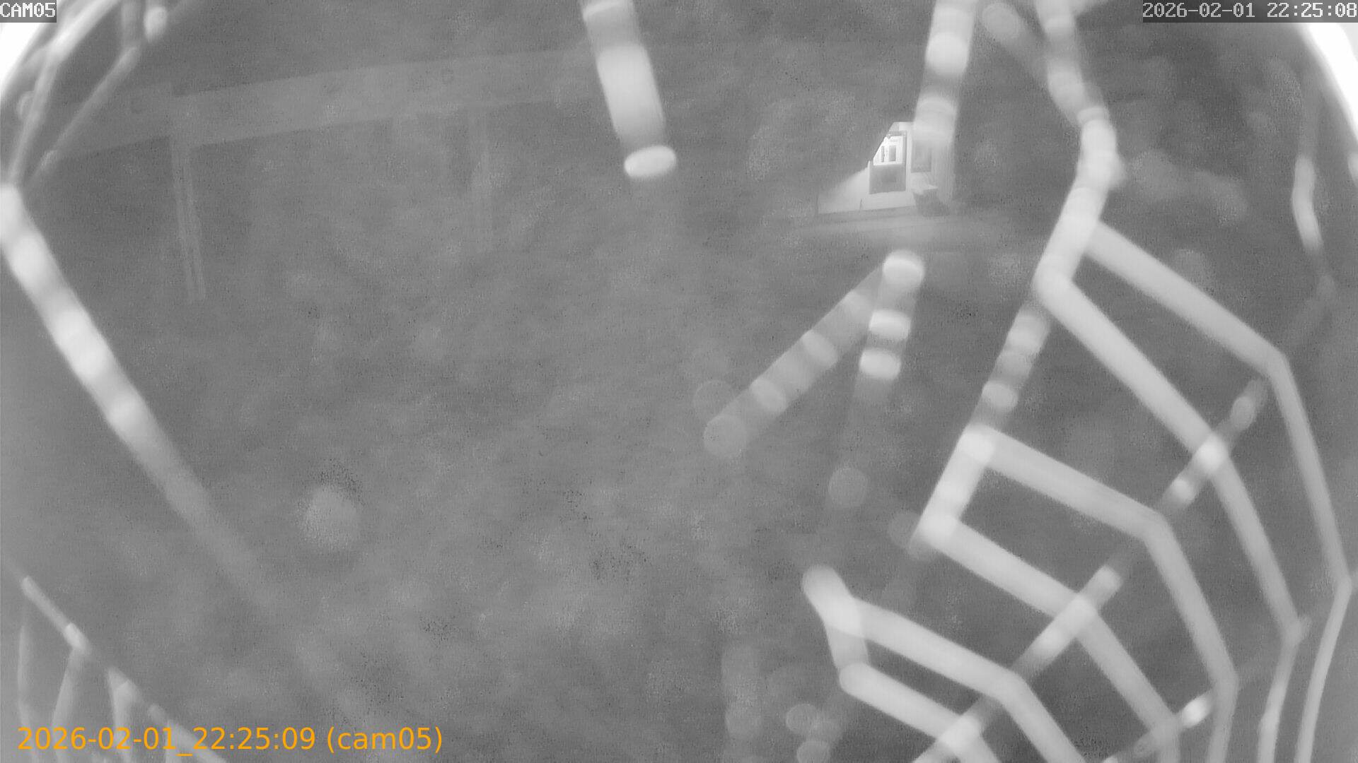 thumbnail_20260201222509