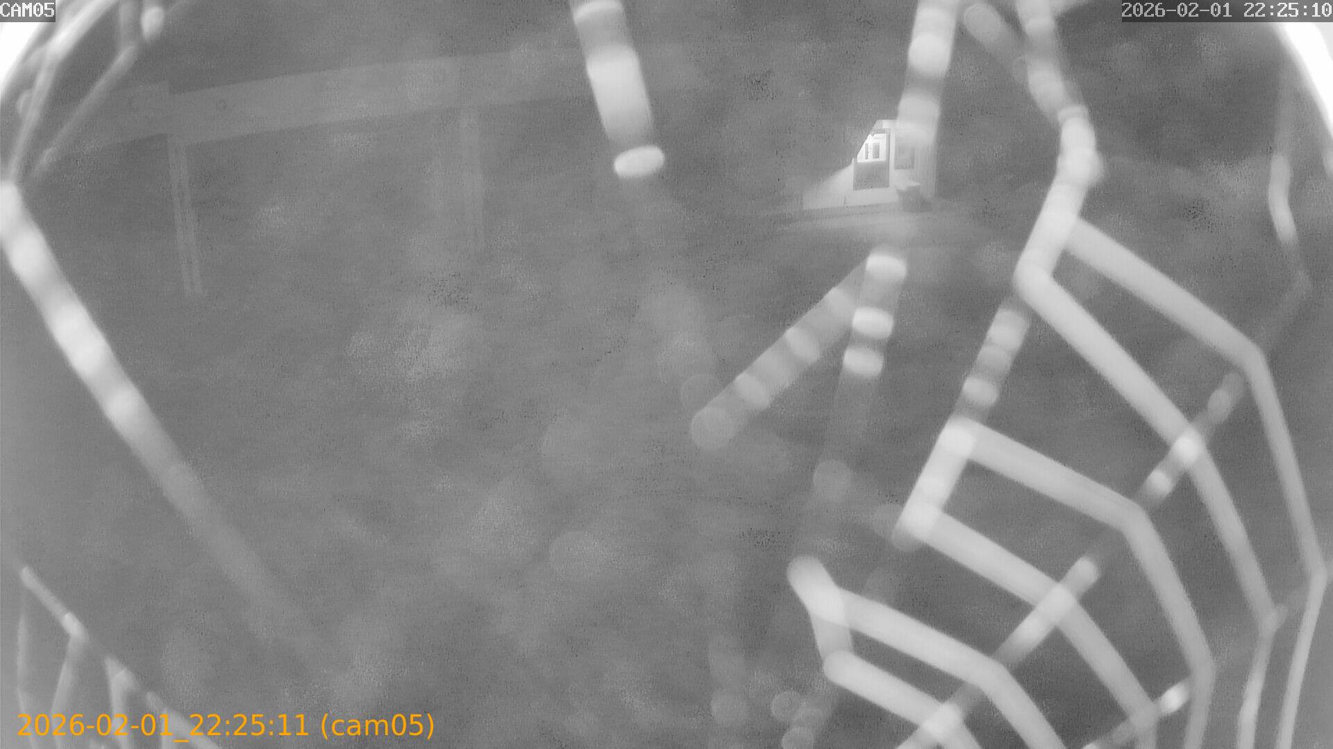 thumbnail_20260201222511