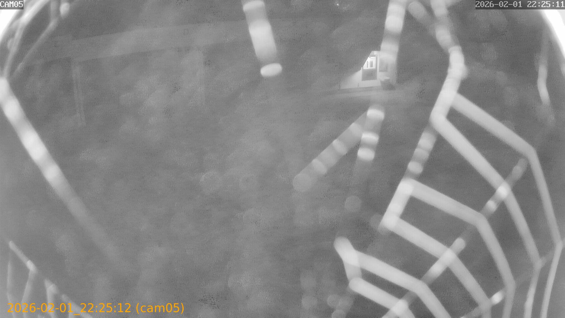 thumbnail_20260201222512