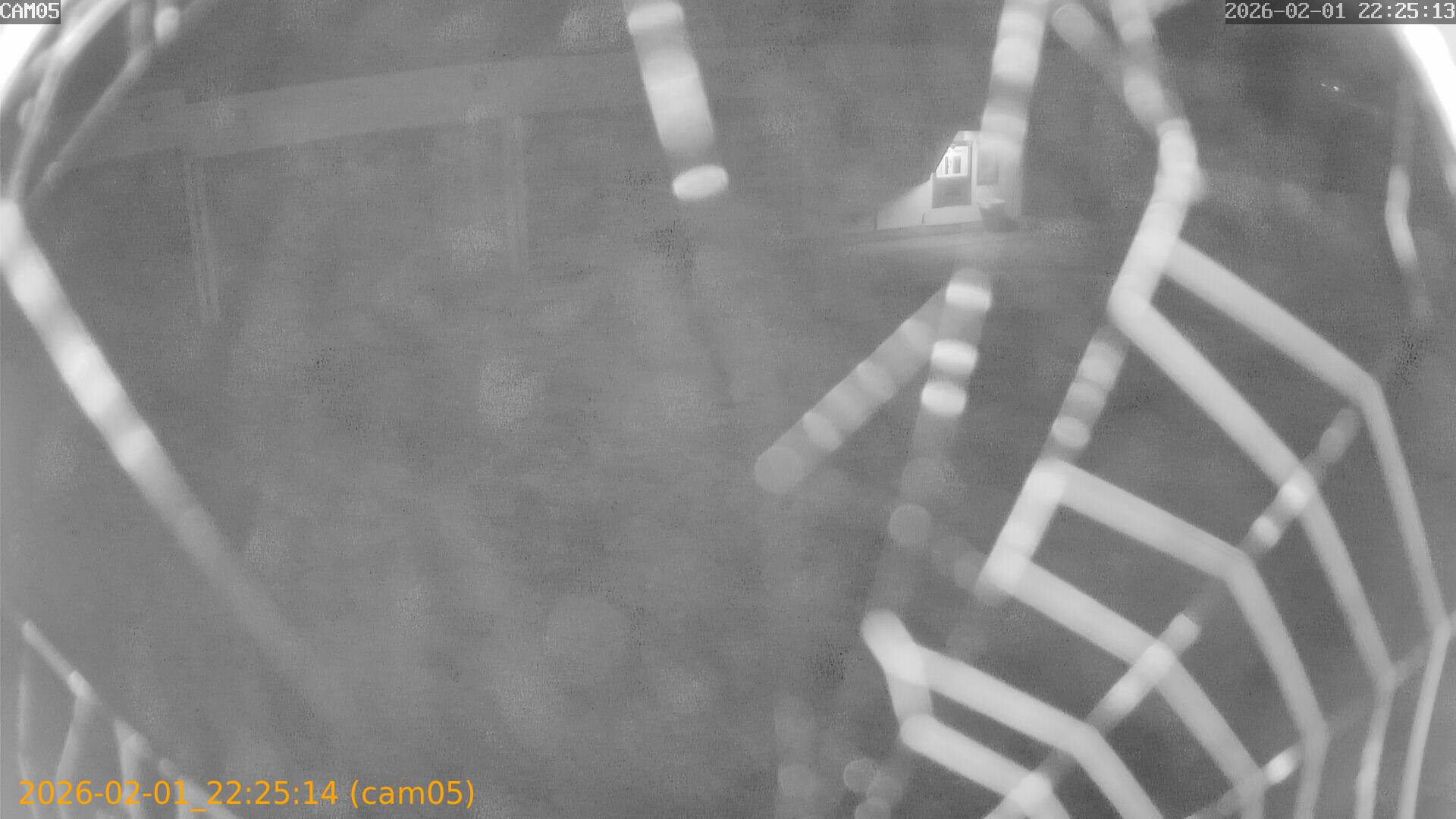 thumbnail_20260201222514