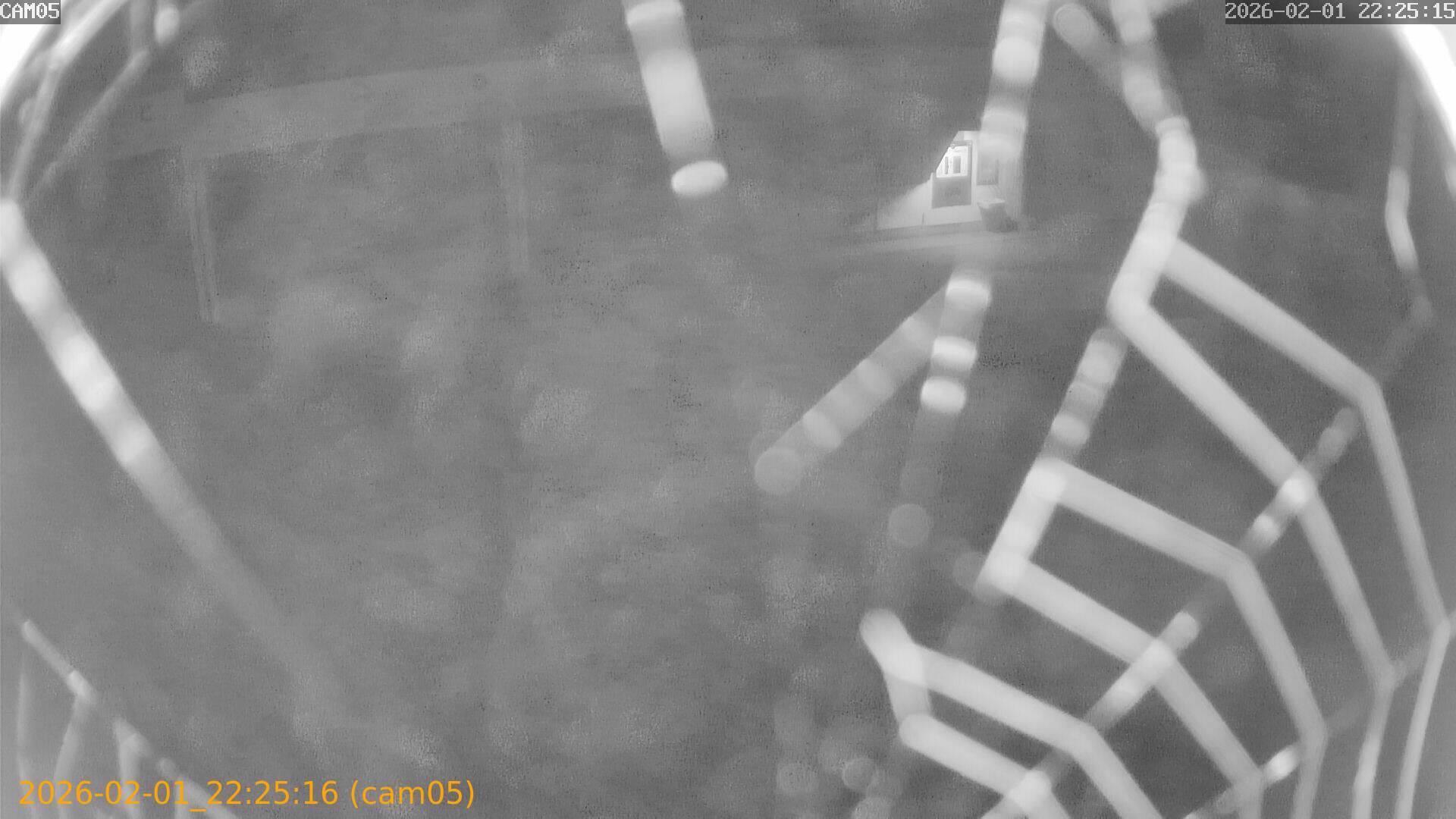 thumbnail_20260201222516