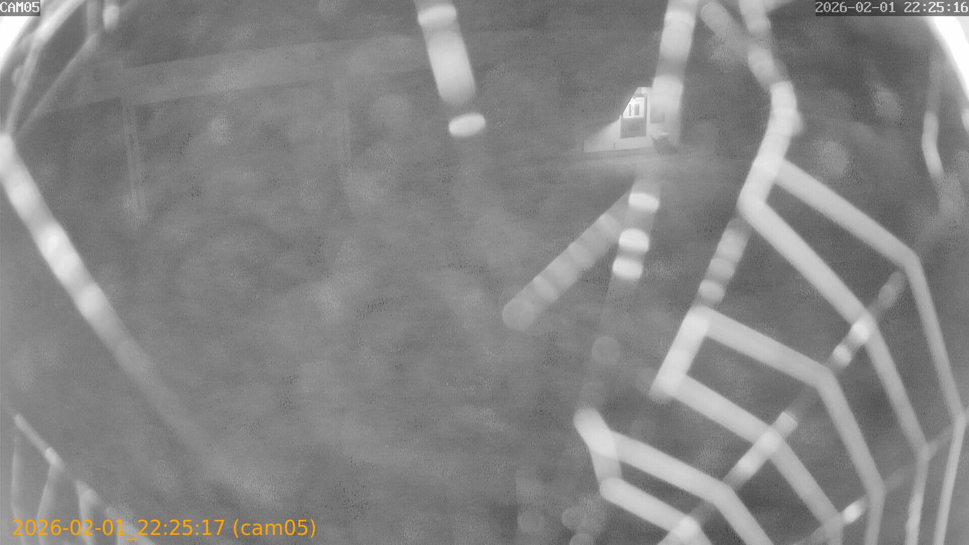 thumbnail_20260201222517