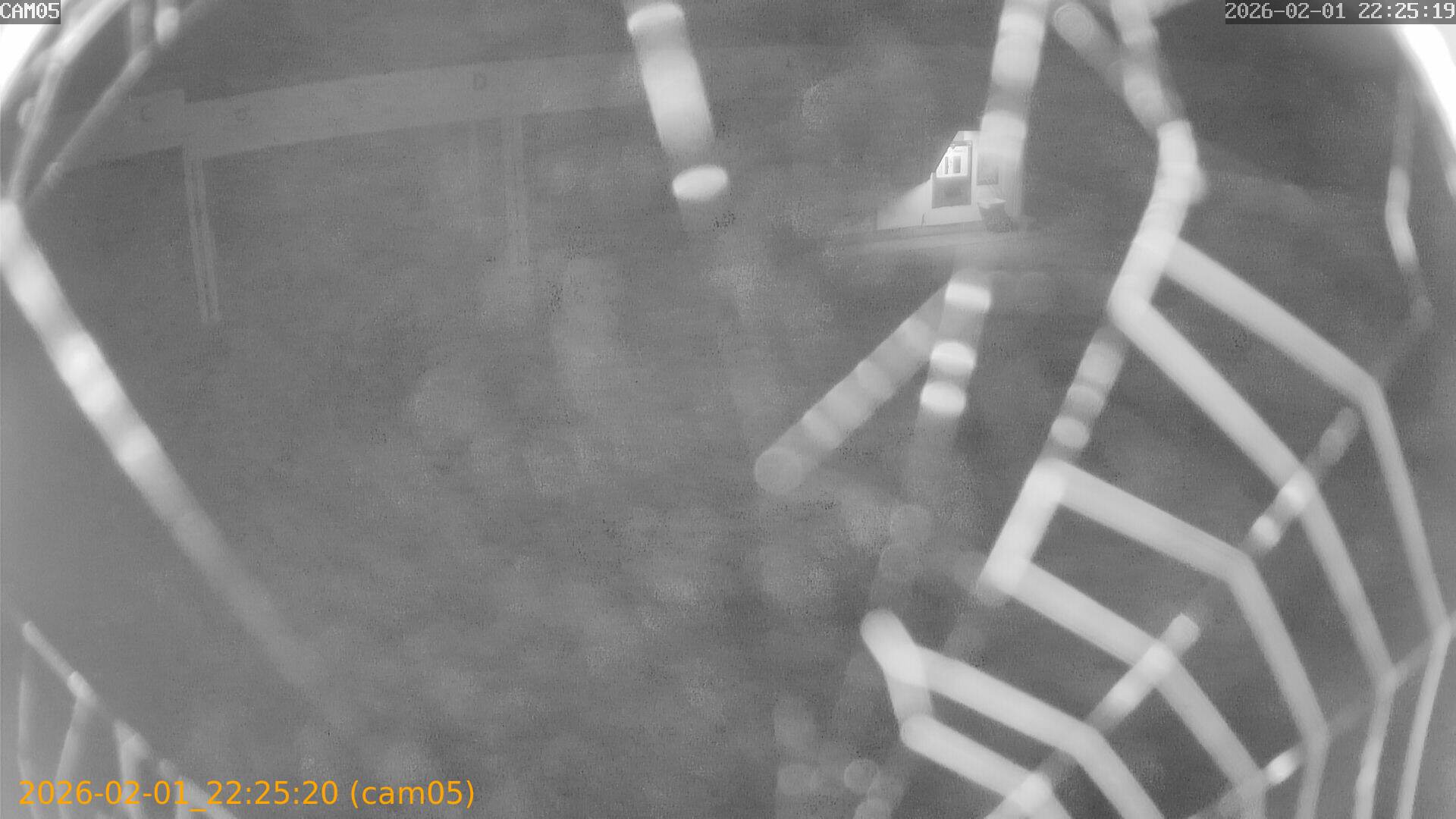 thumbnail_20260201222520