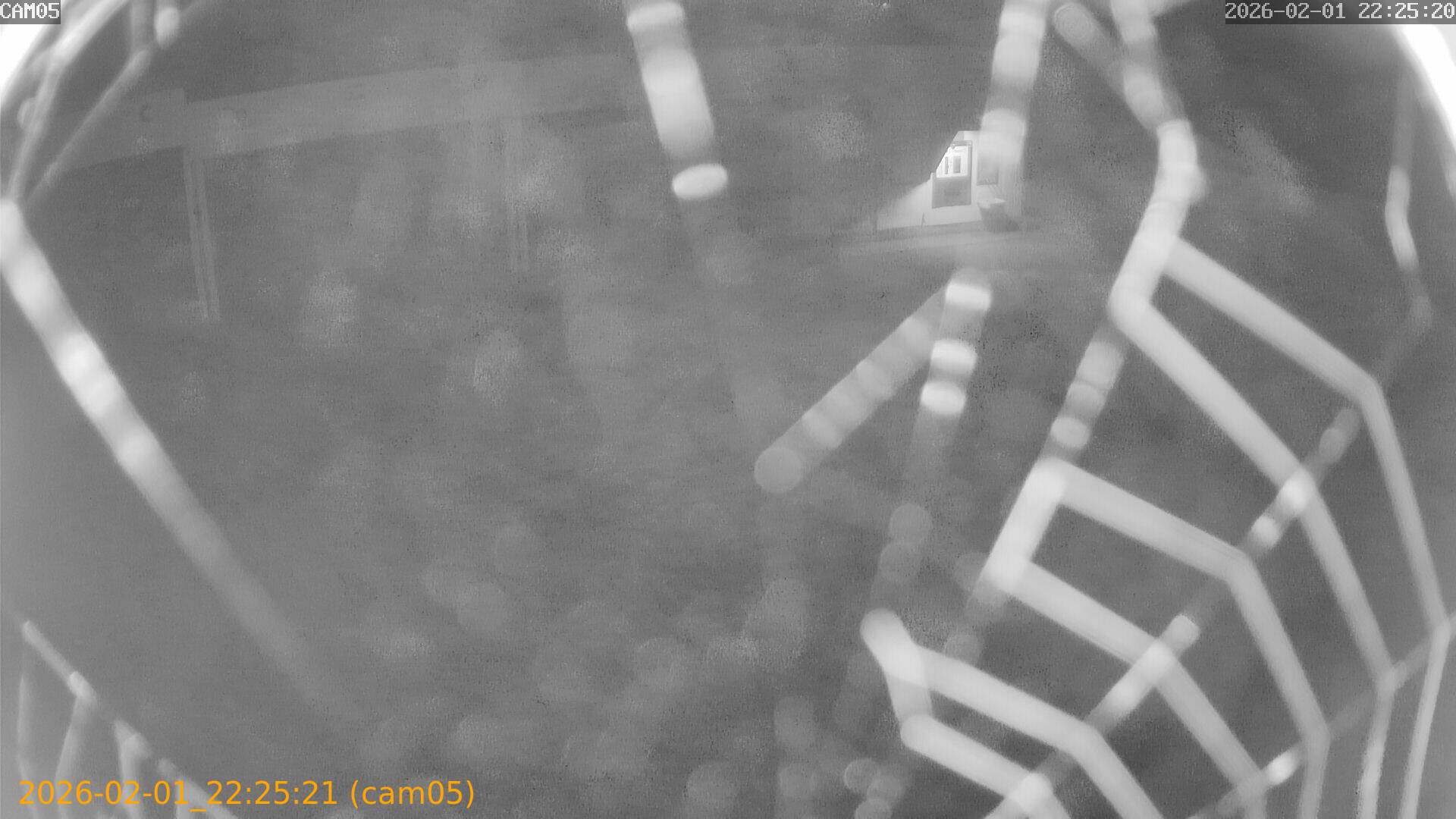 thumbnail_20260201222521