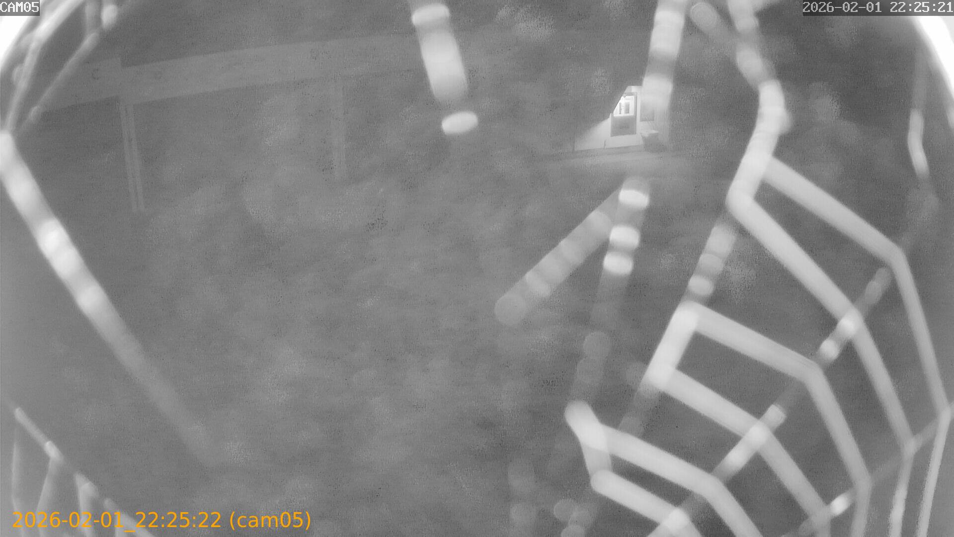 thumbnail_20260201222522