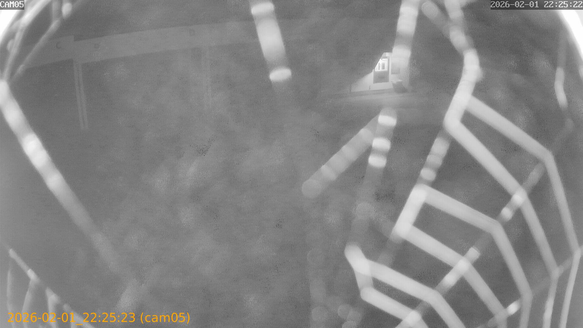 thumbnail_20260201222523