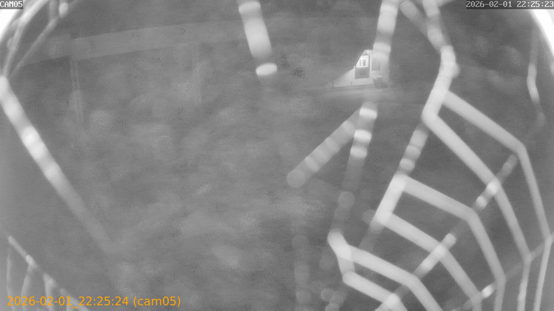 thumbnail_20260201222524