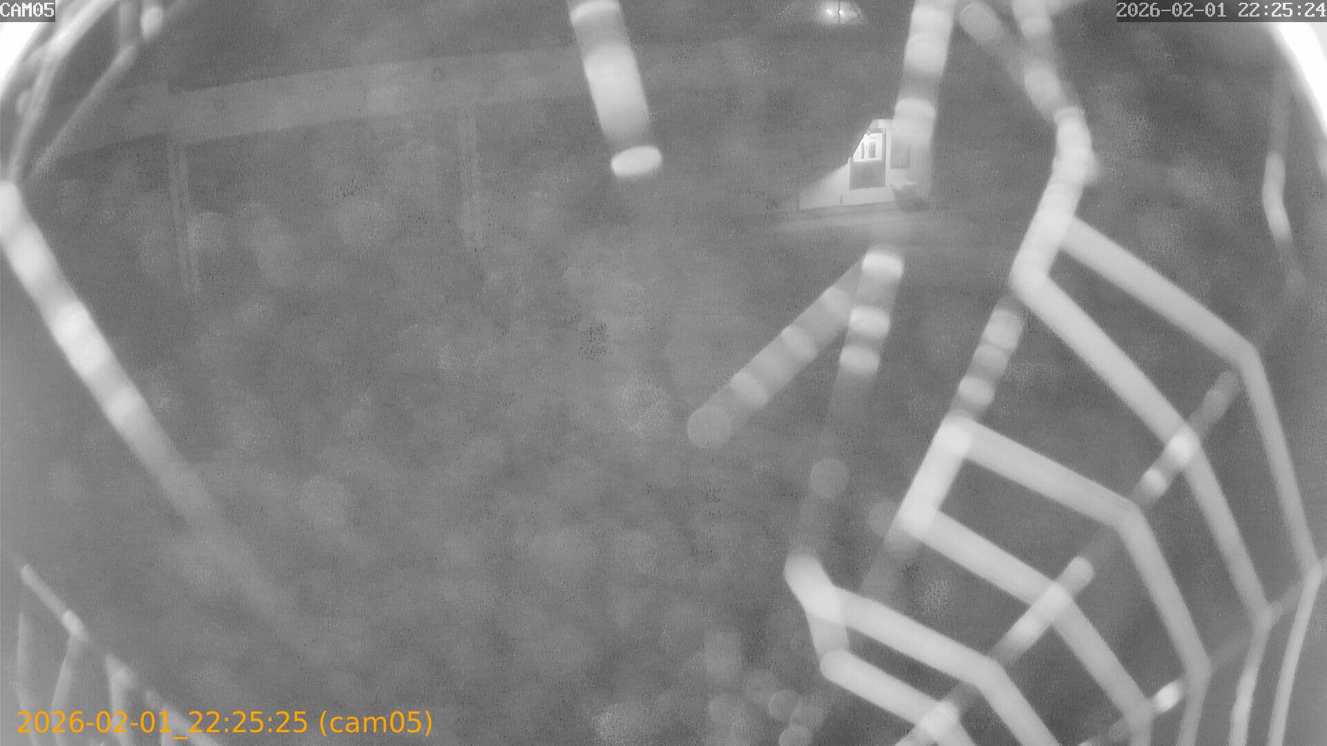 thumbnail_20260201222525