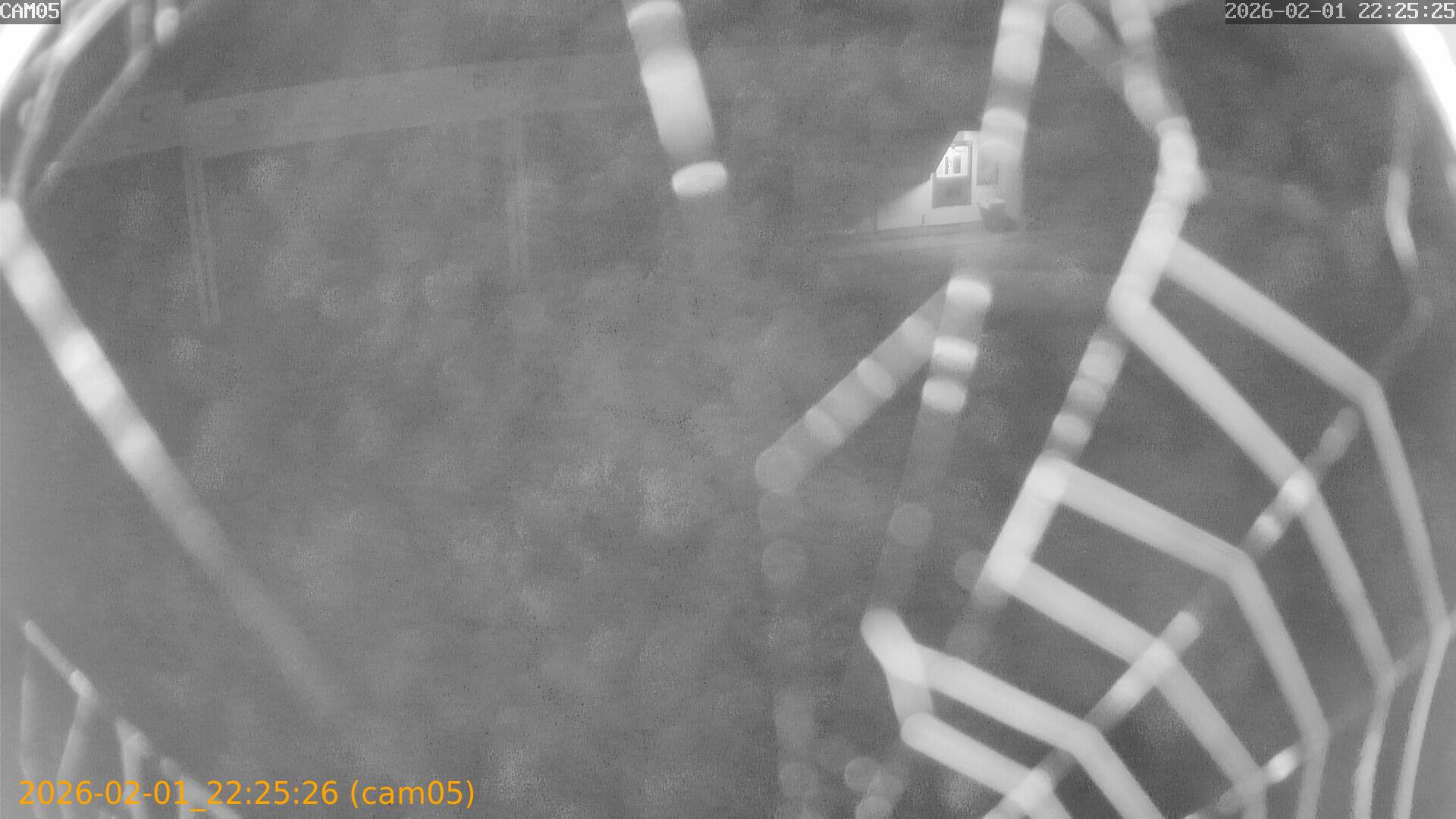 thumbnail_20260201222526