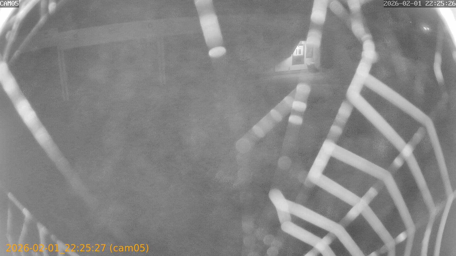 thumbnail_20260201222527