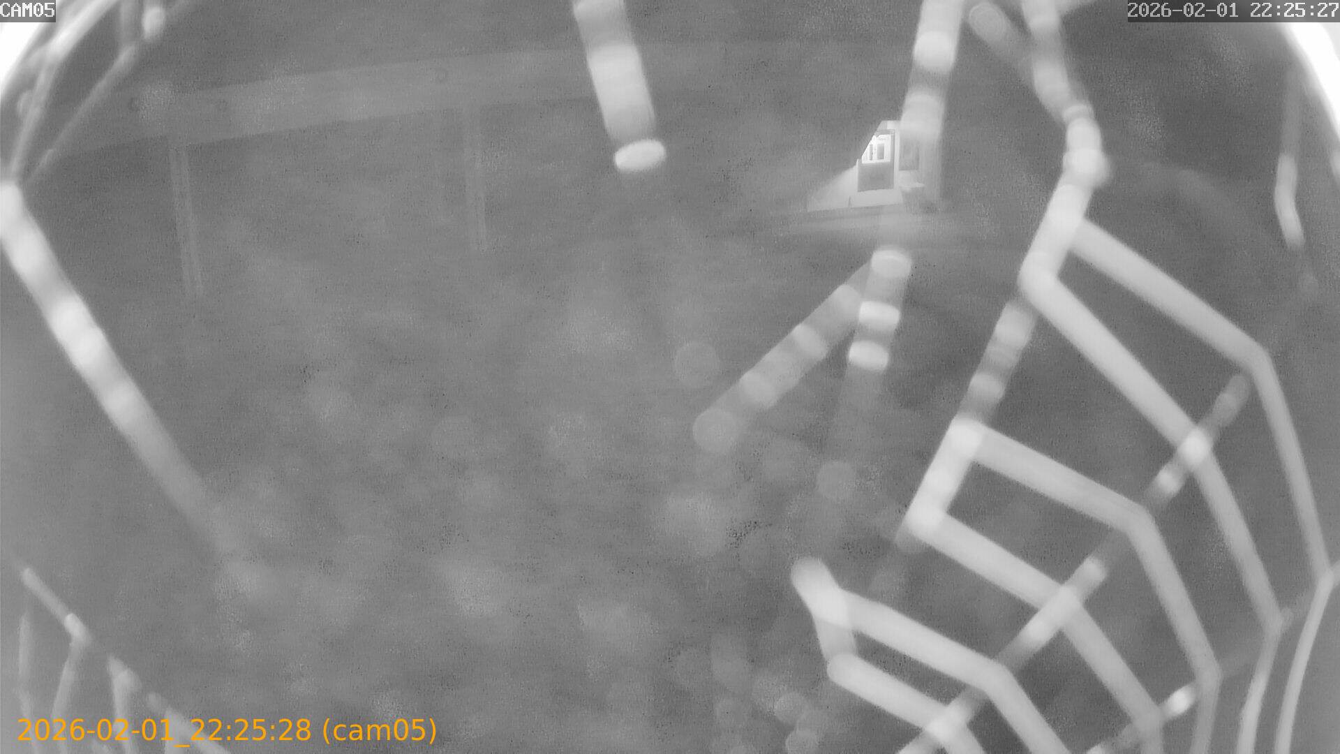 thumbnail_20260201222528