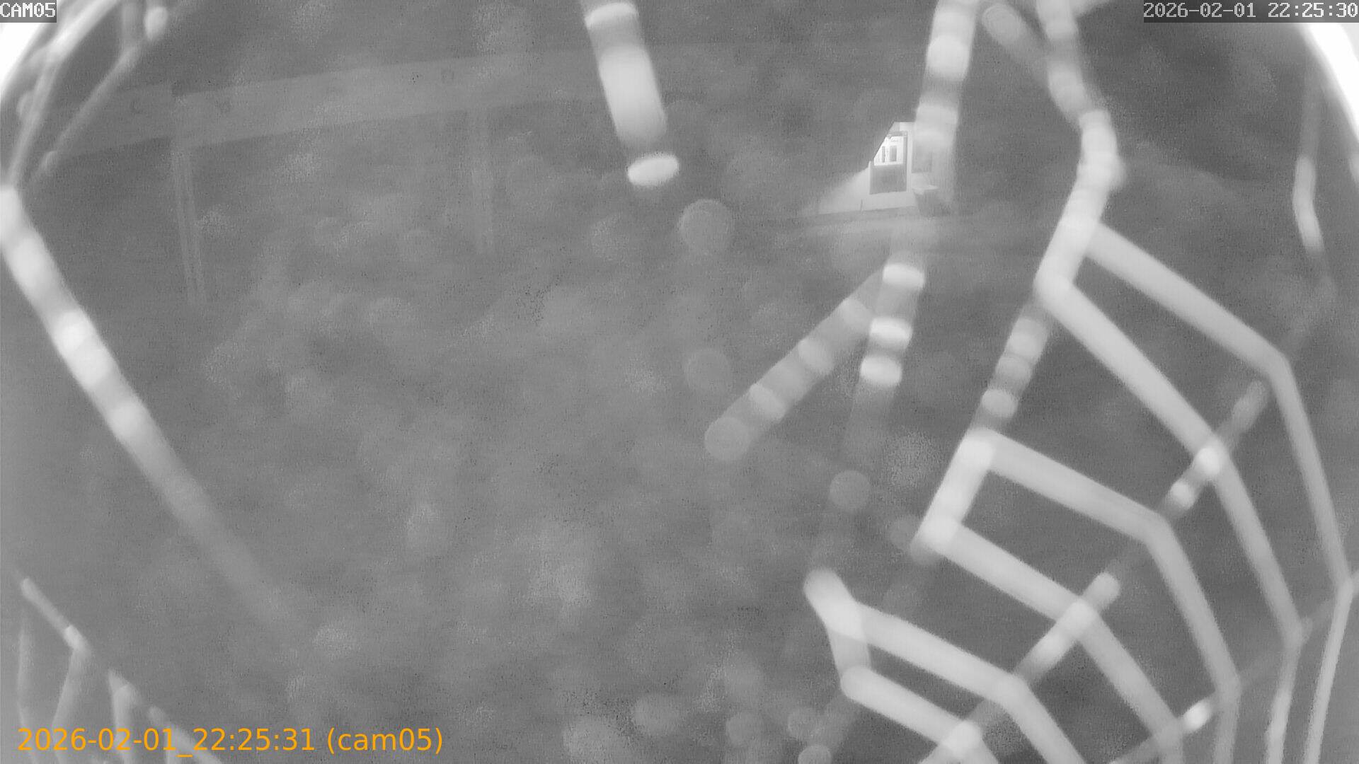 thumbnail_20260201222531