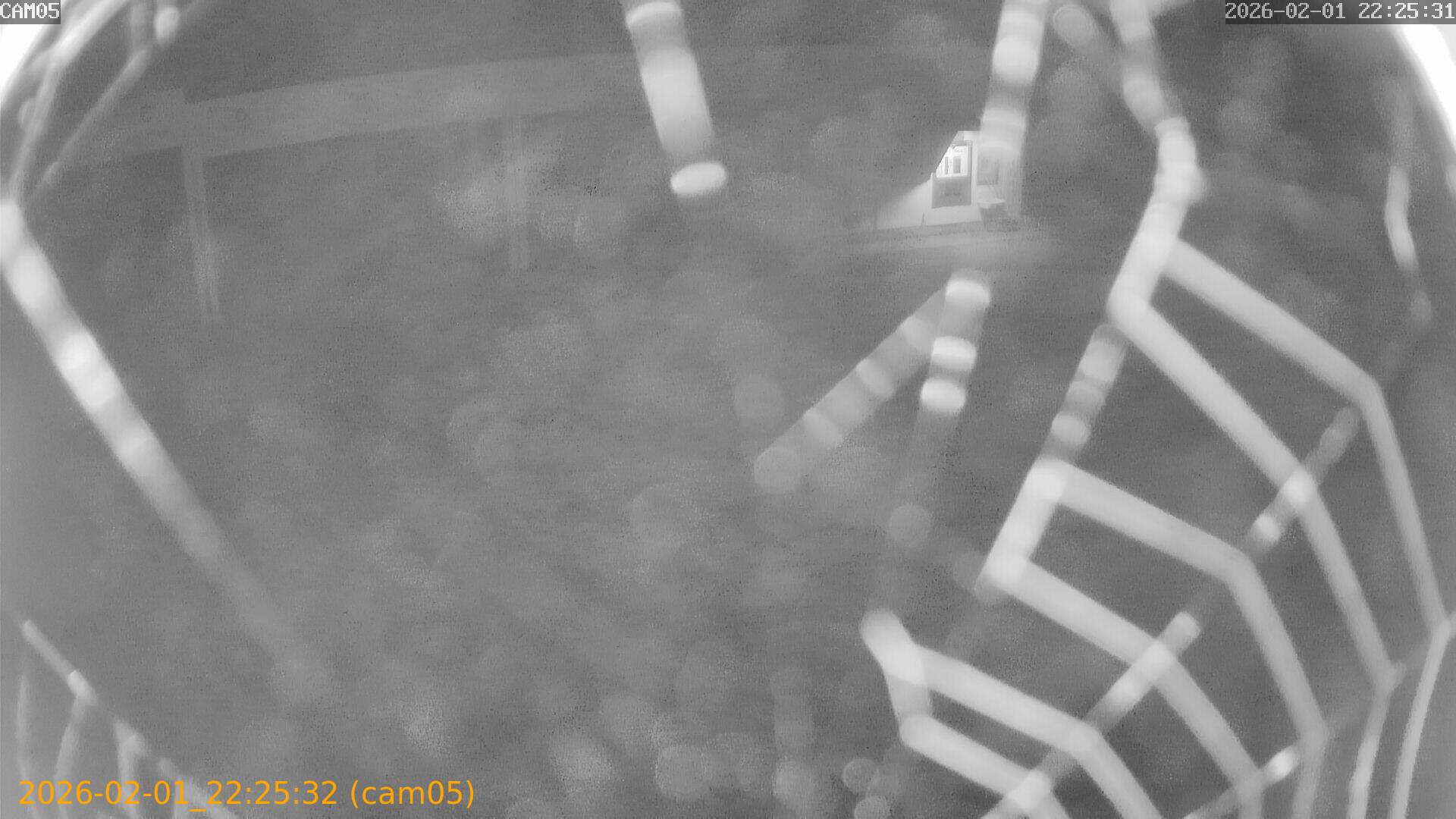 thumbnail_20260201222532