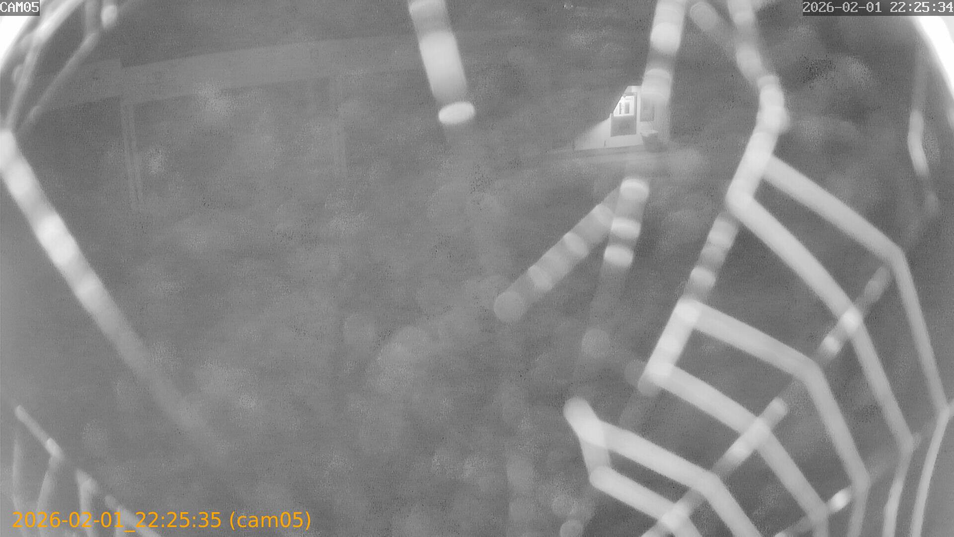 thumbnail_20260201222535