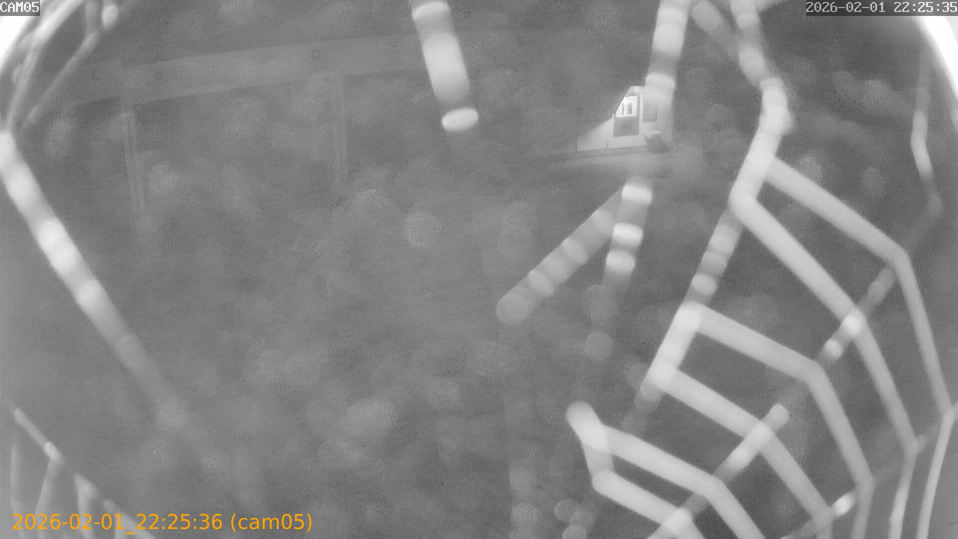 thumbnail_20260201222536