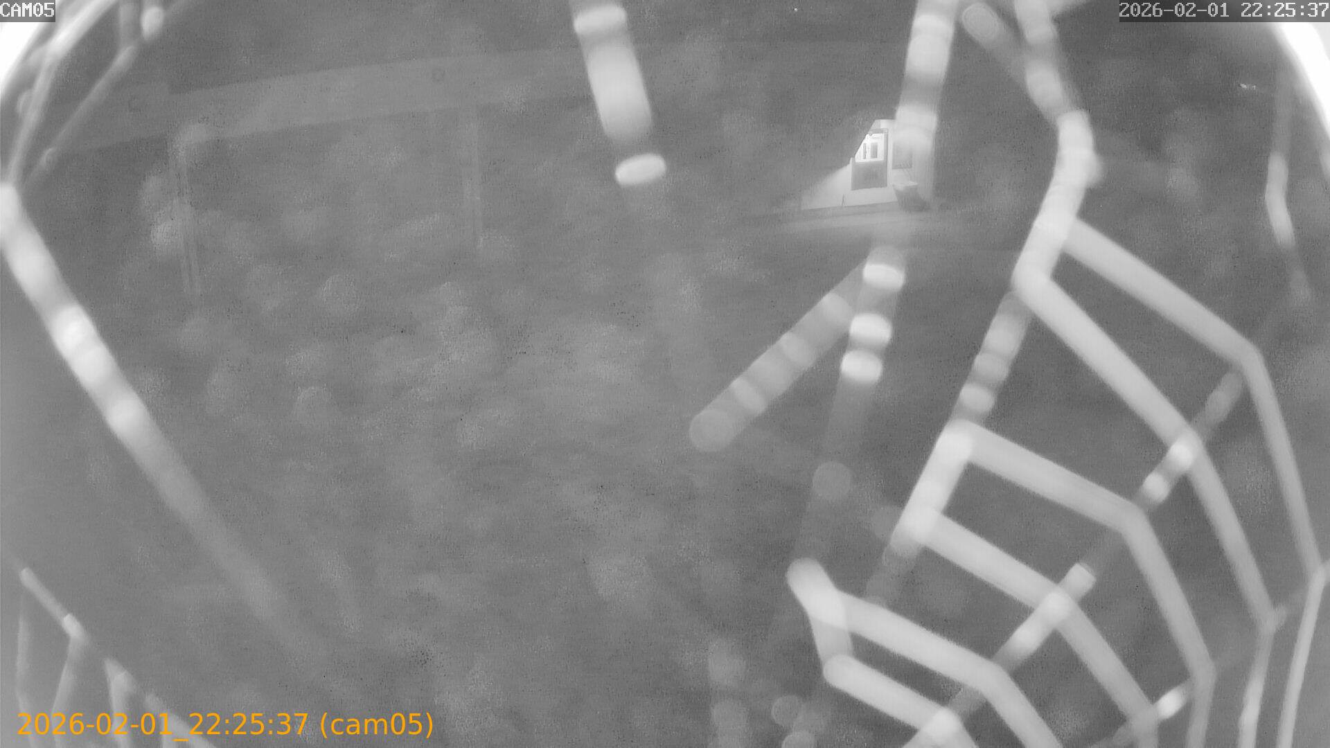 thumbnail_20260201222537