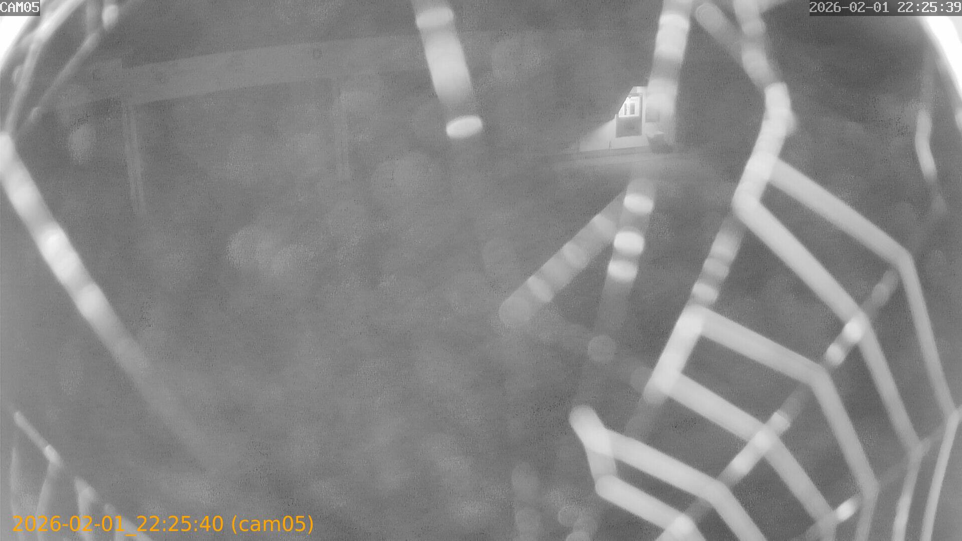 thumbnail_20260201222540