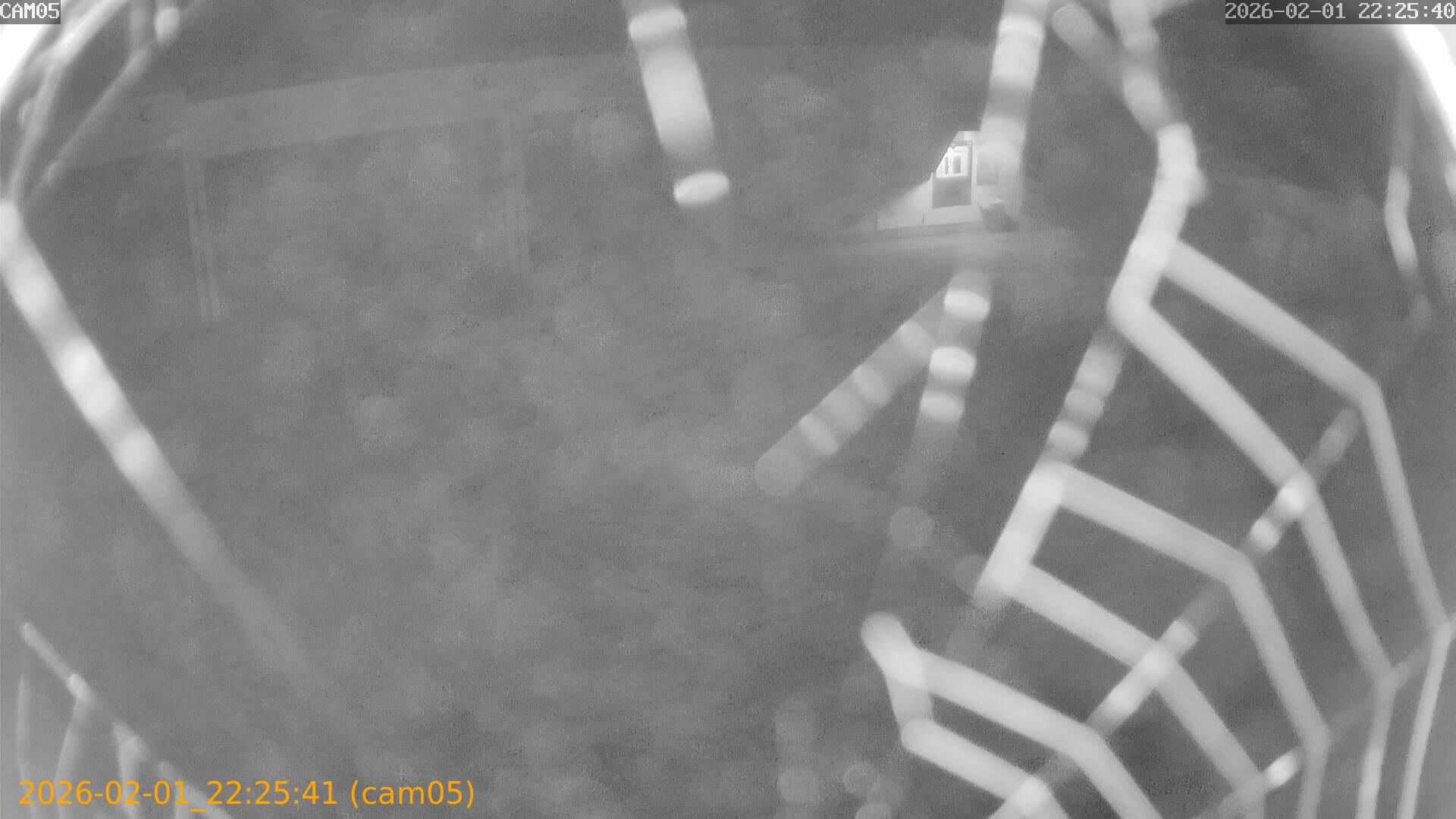 thumbnail_20260201222541