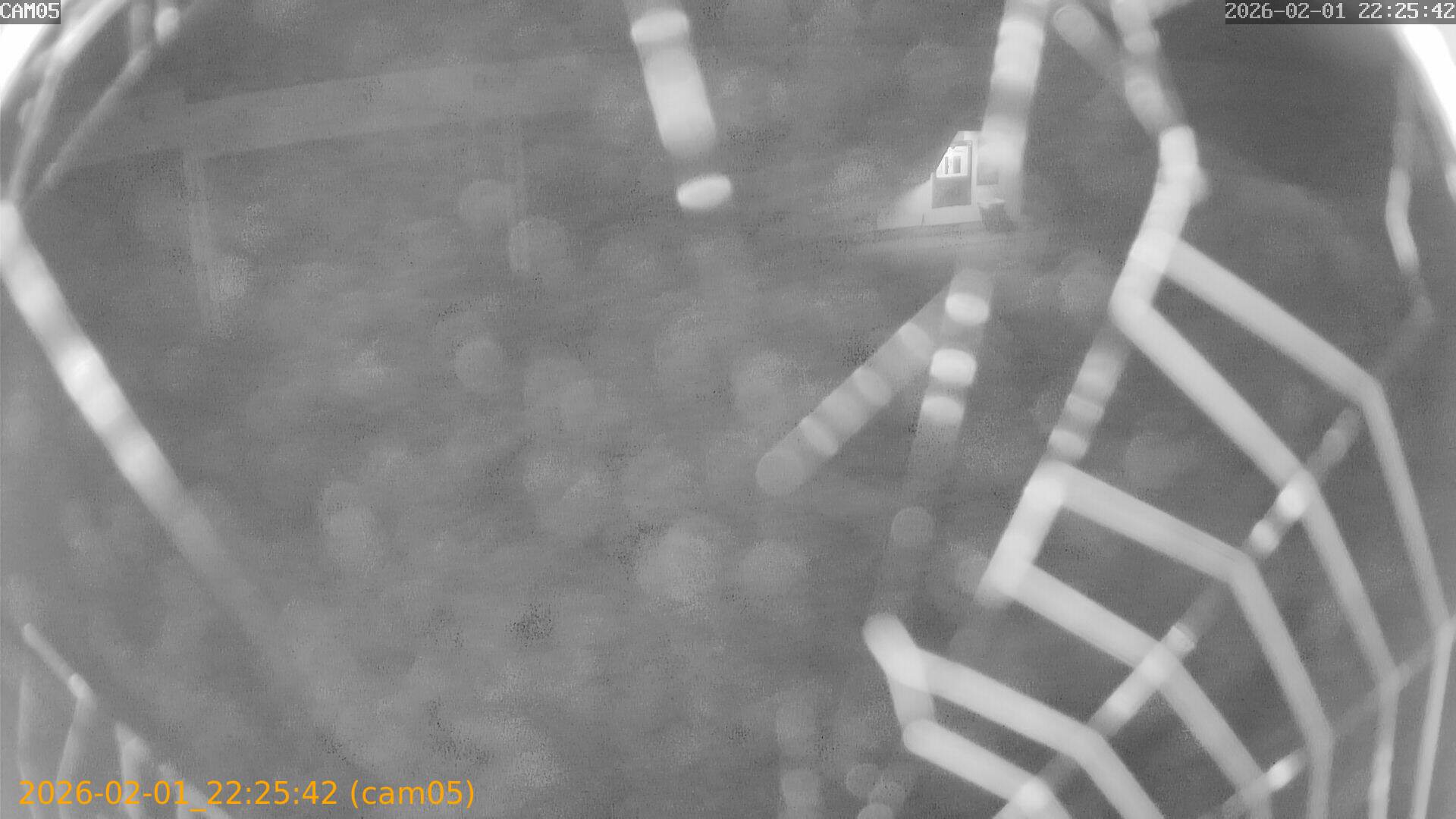 thumbnail_20260201222542