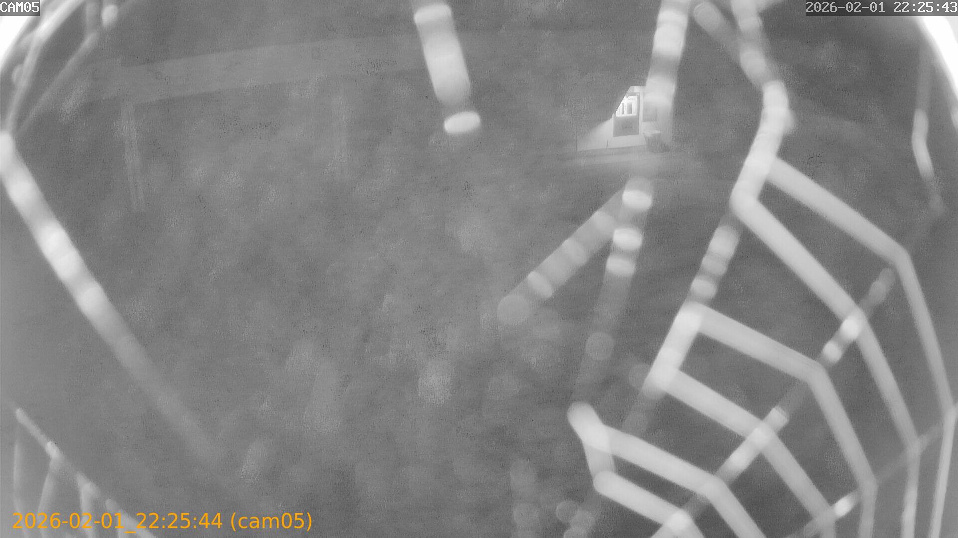 thumbnail_20260201222544