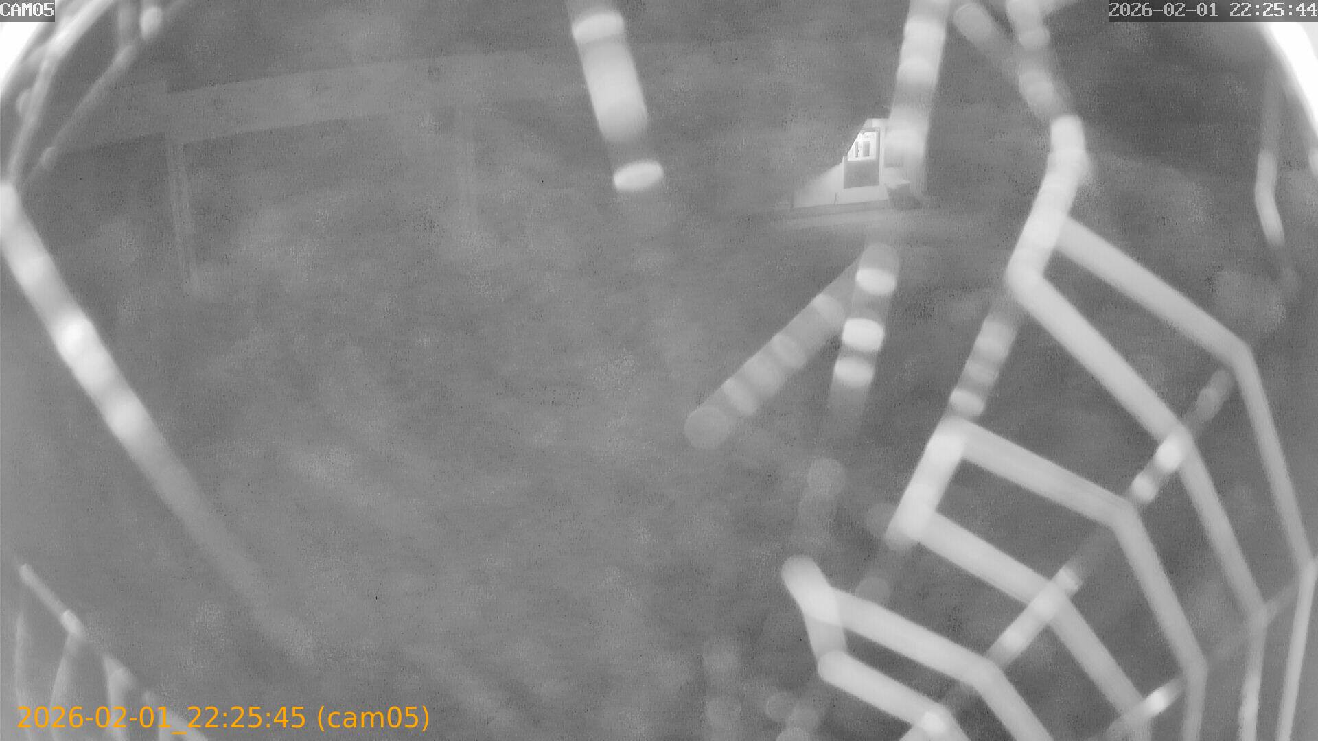 thumbnail_20260201222545