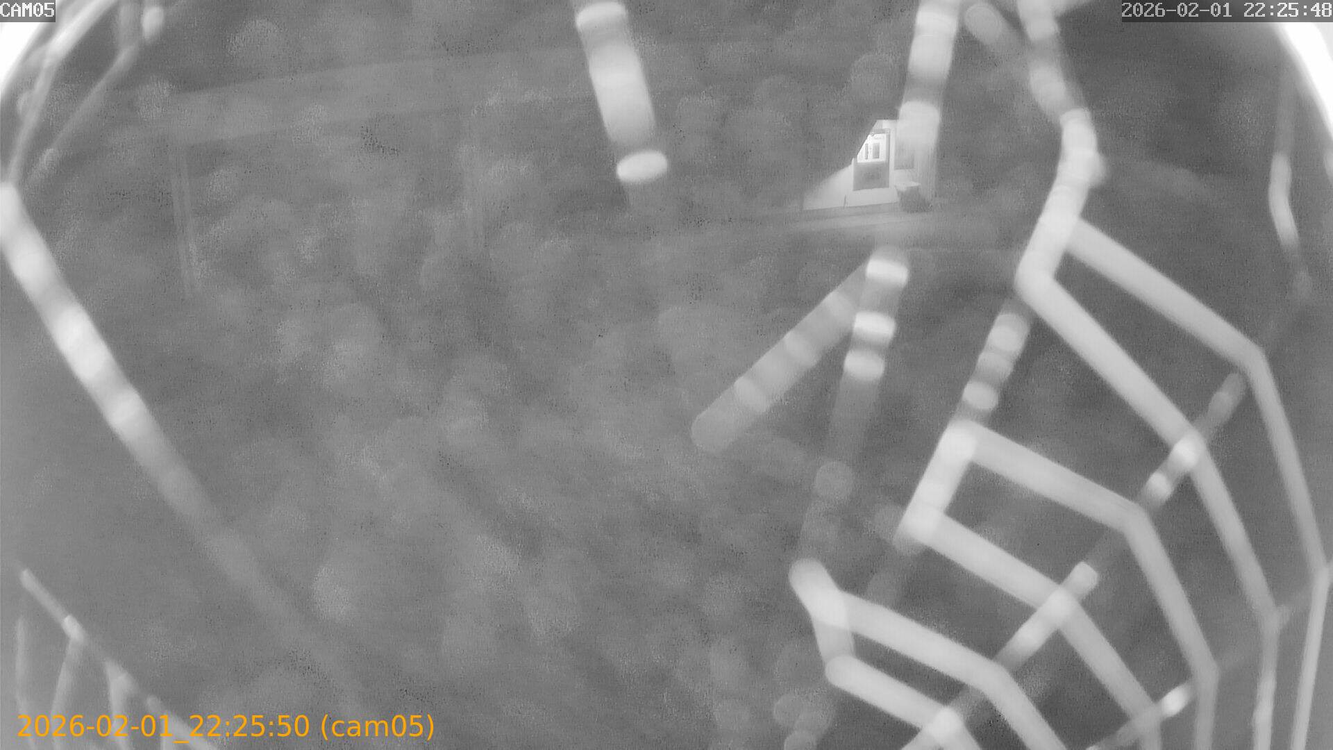 thumbnail_20260201222549