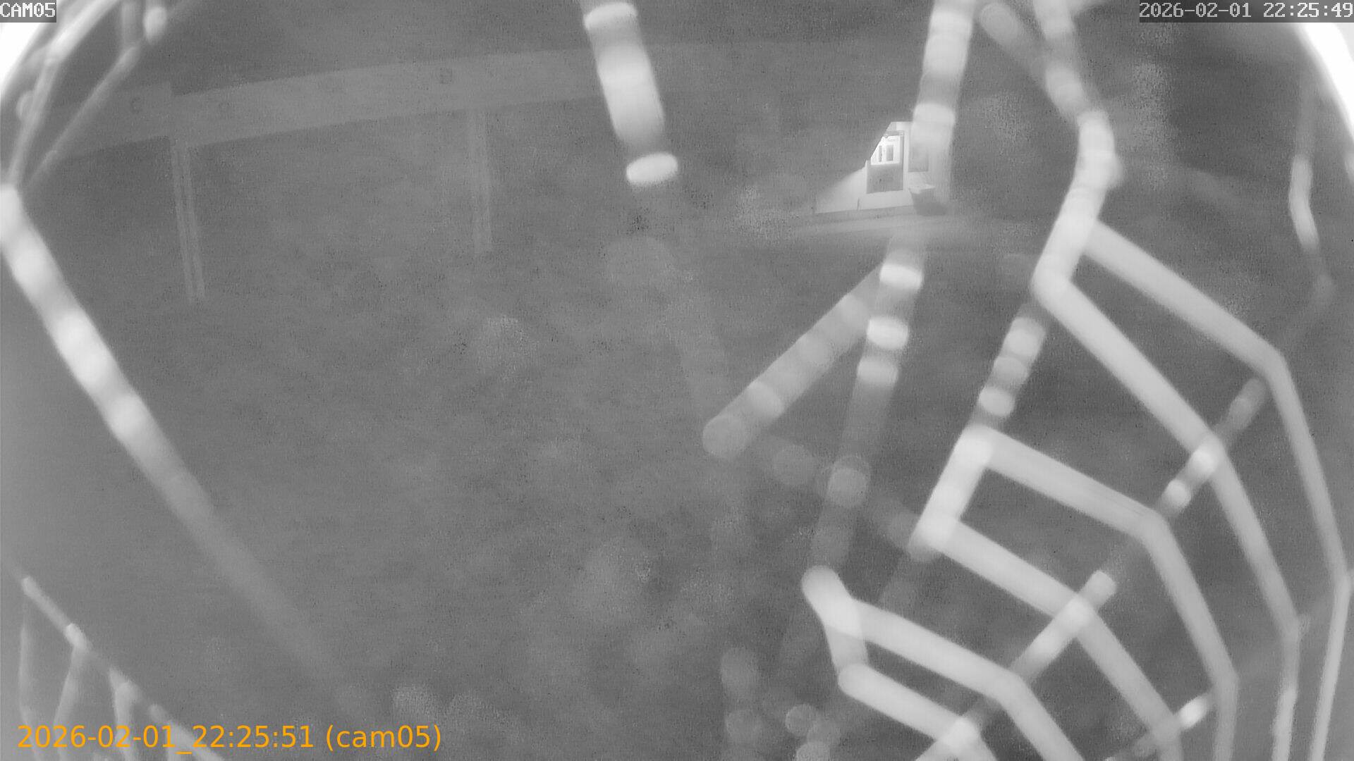 thumbnail_20260201222550