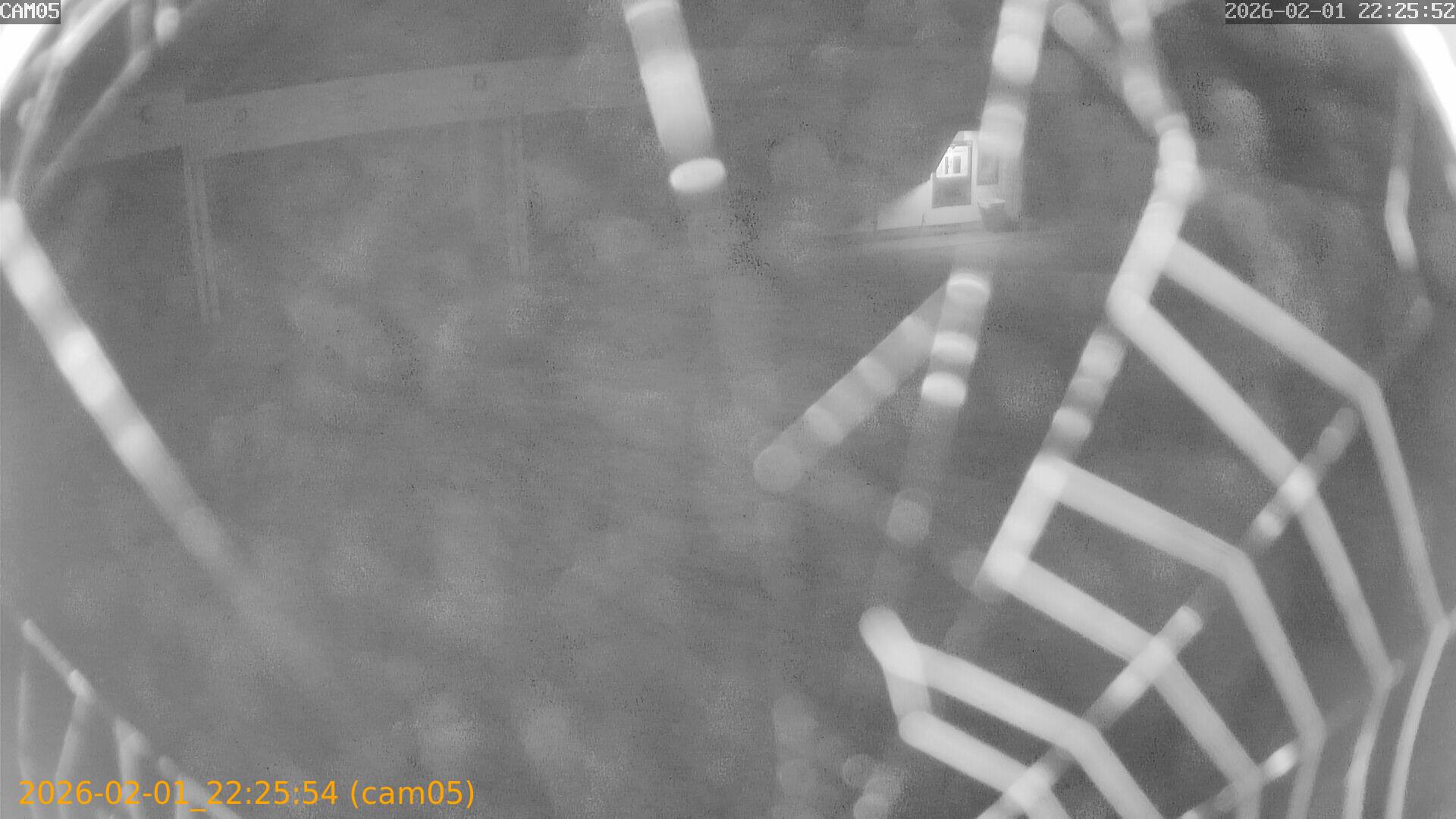 thumbnail_20260201222553