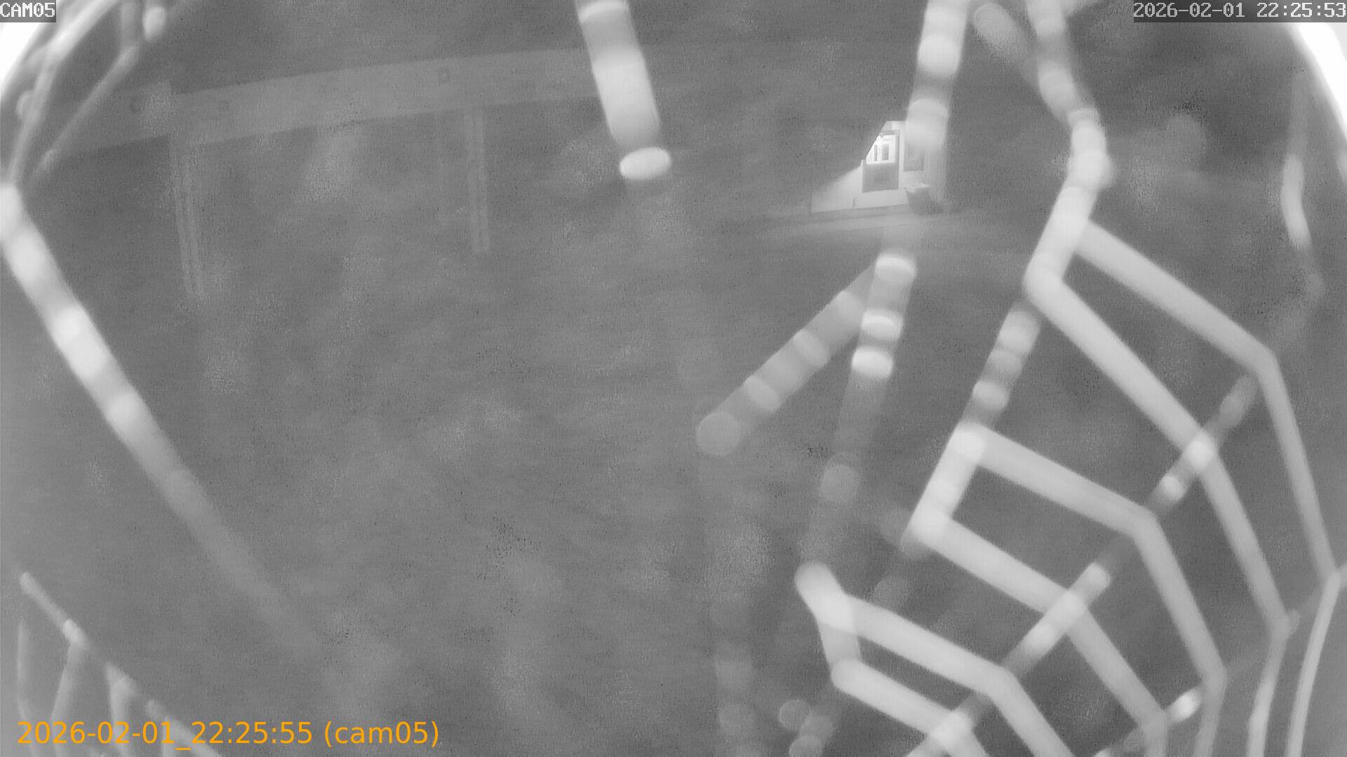 thumbnail_20260201222554