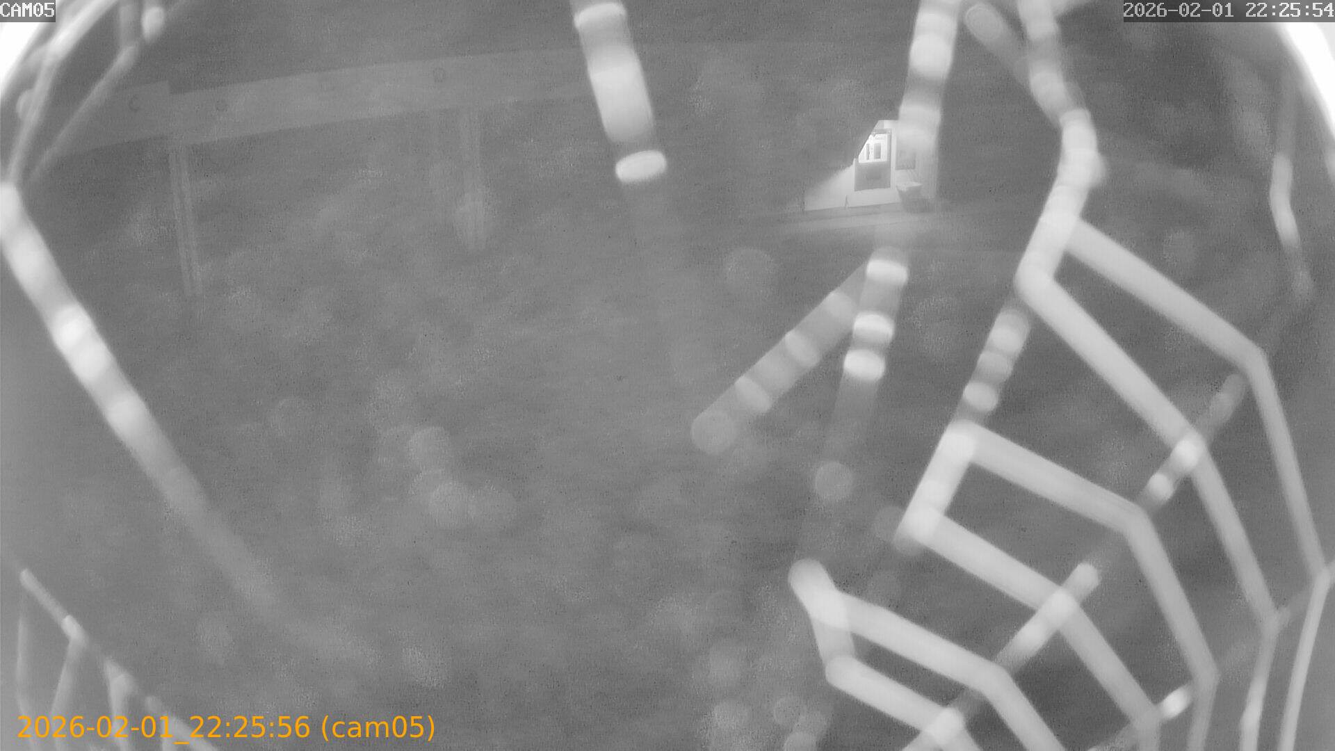 thumbnail_20260201222556