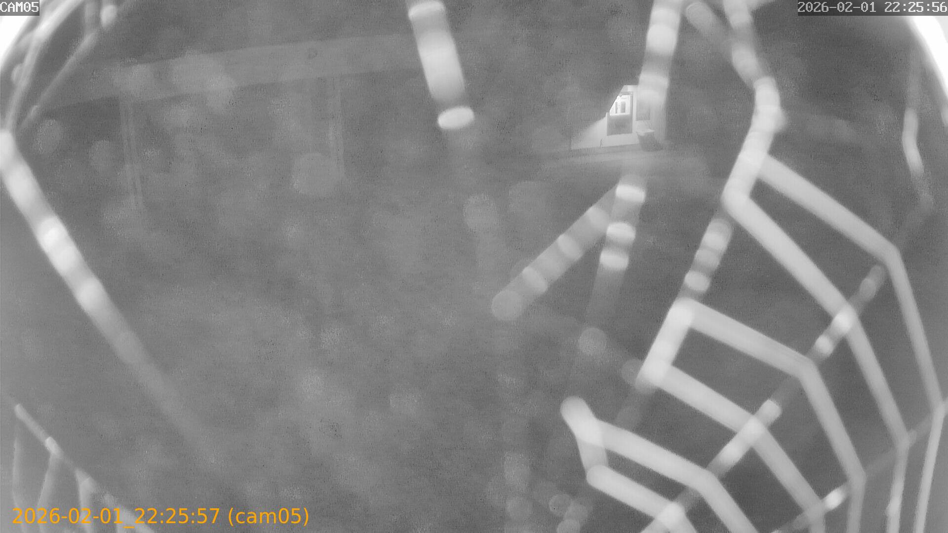 thumbnail_20260201222557