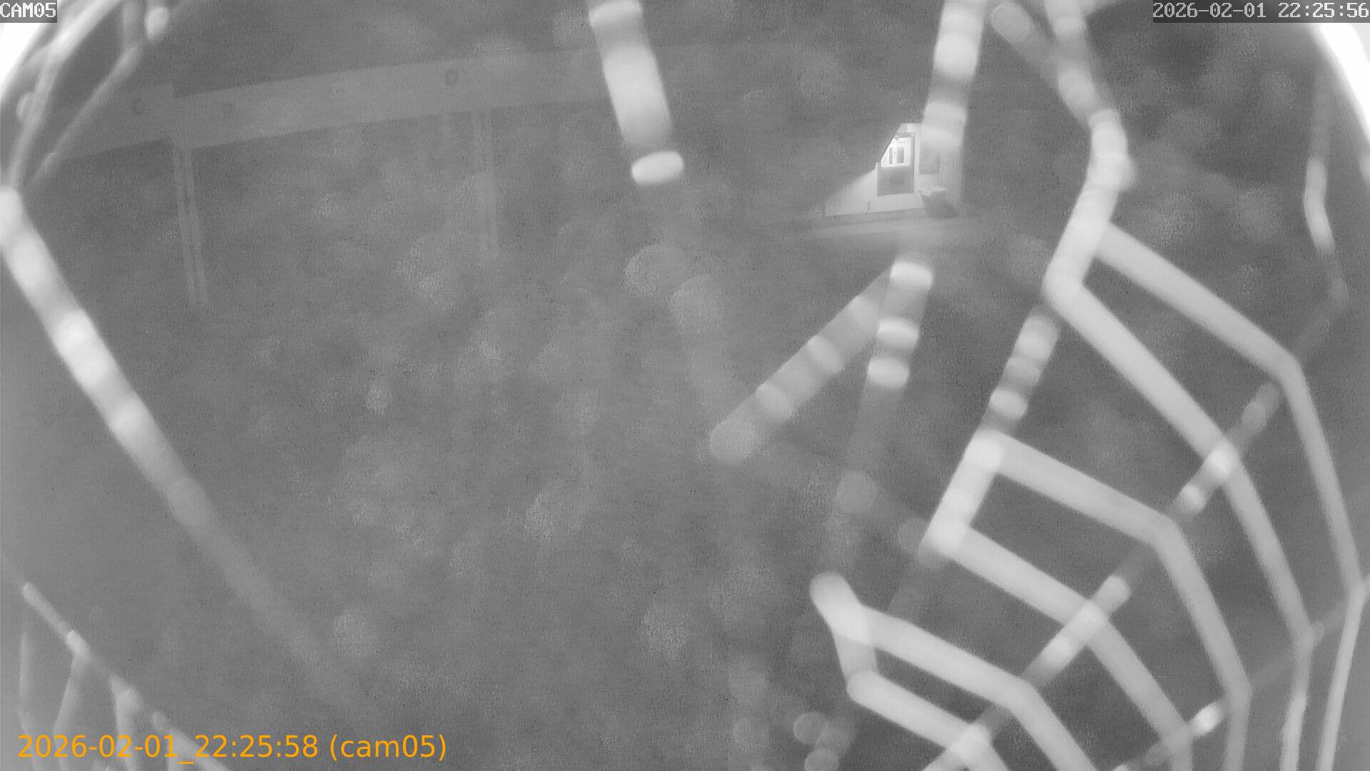 thumbnail_20260201222558