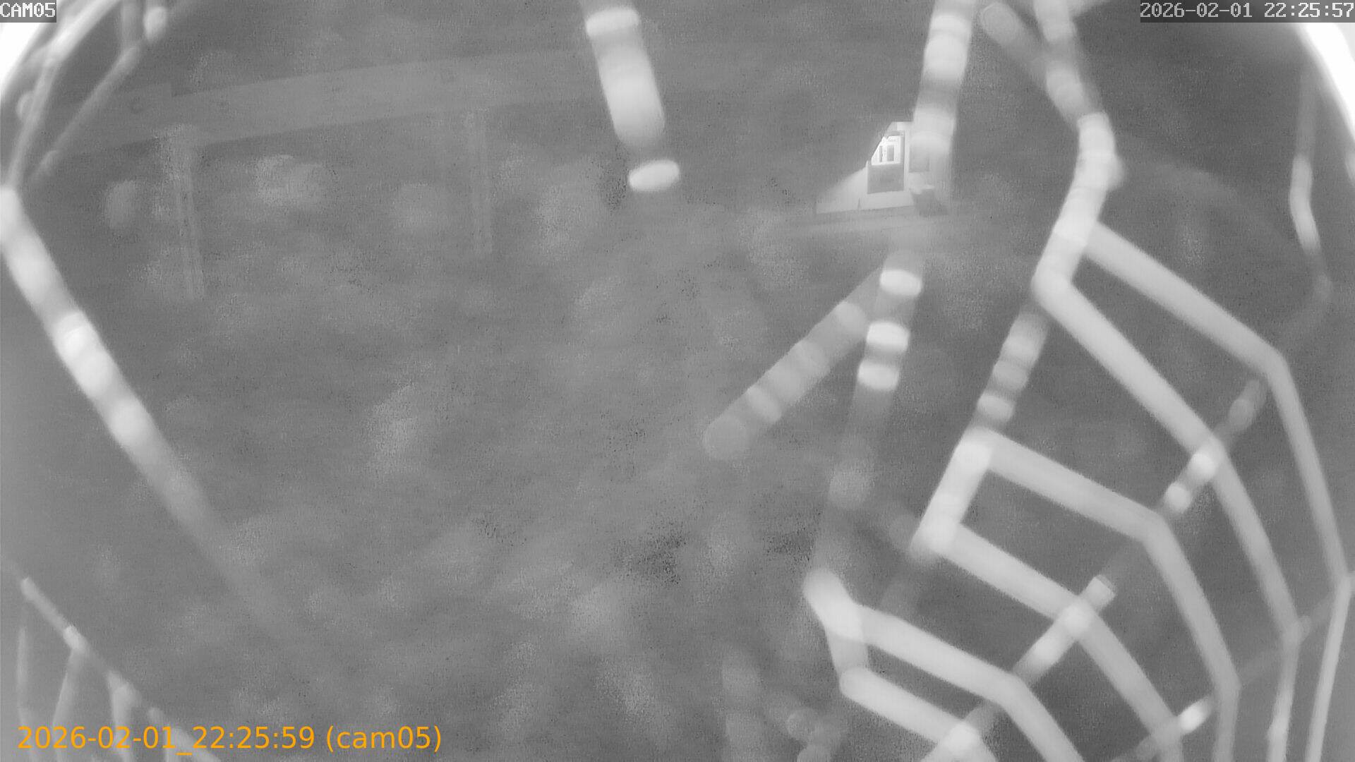 thumbnail_20260201222559