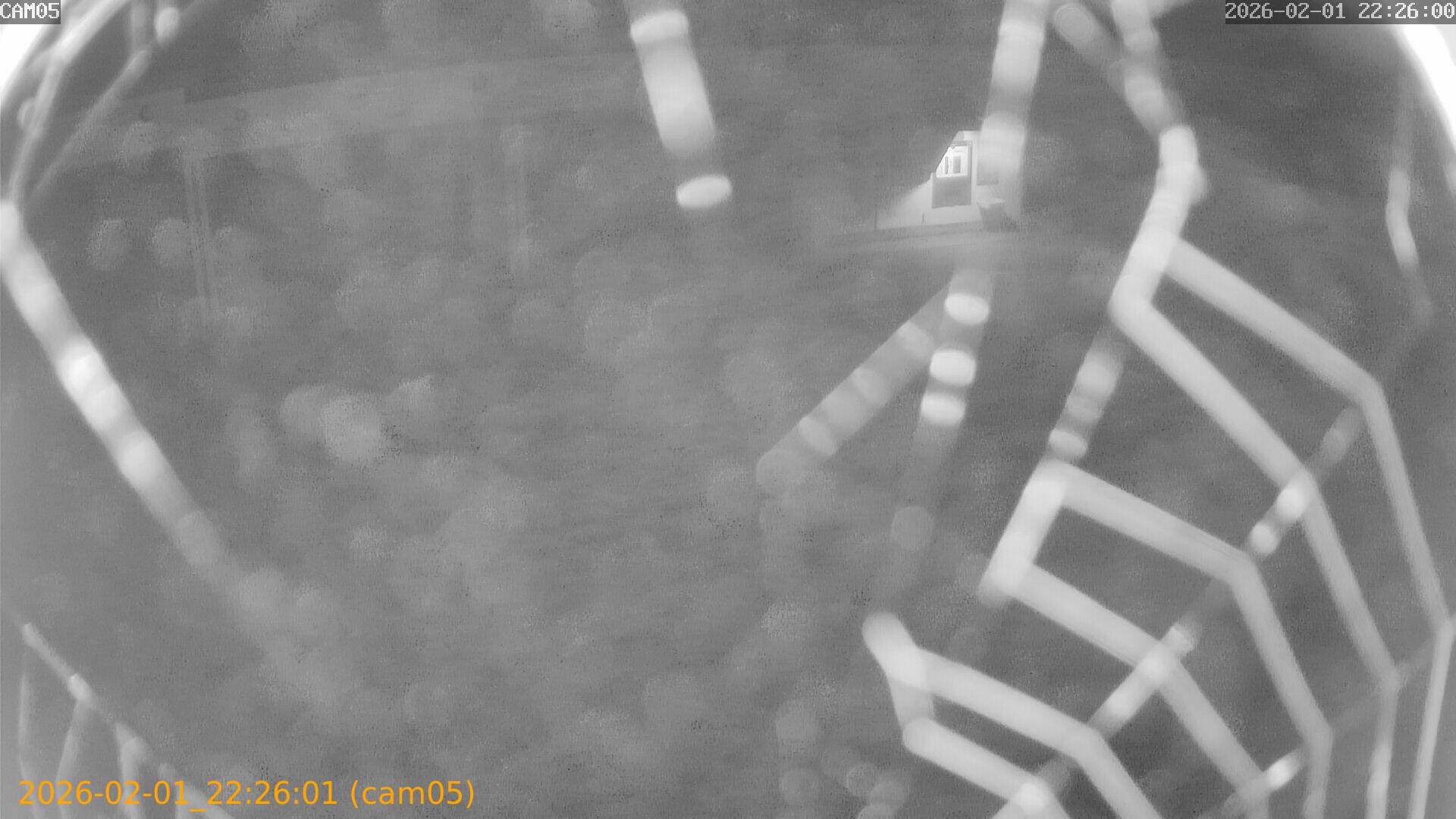 thumbnail_20260201222601