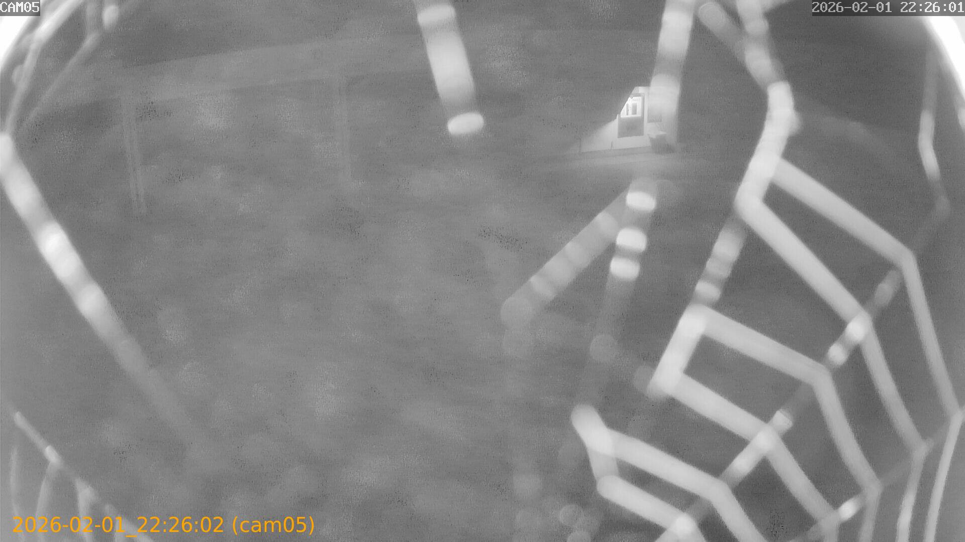 thumbnail_20260201222602