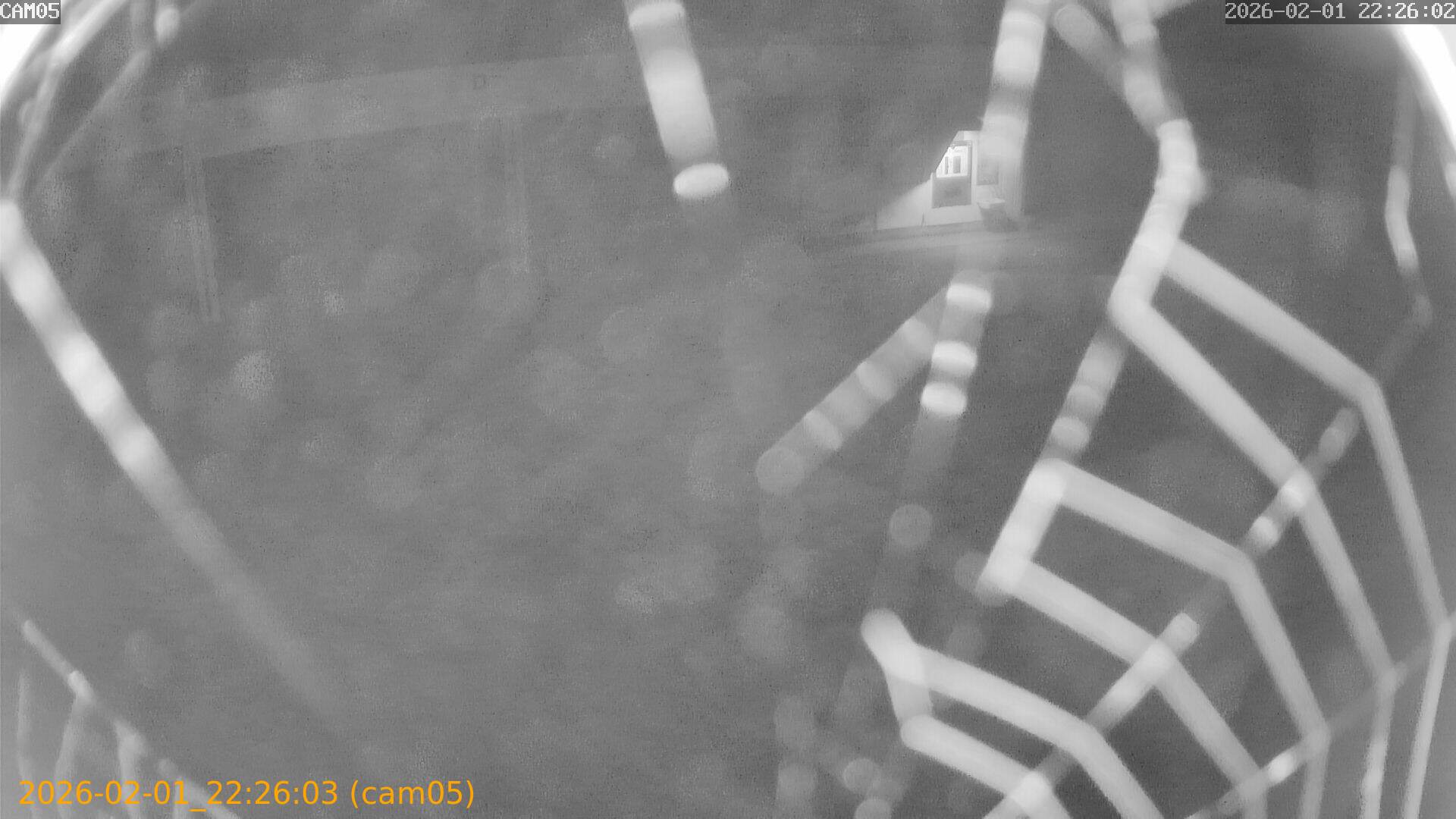 thumbnail_20260201222603