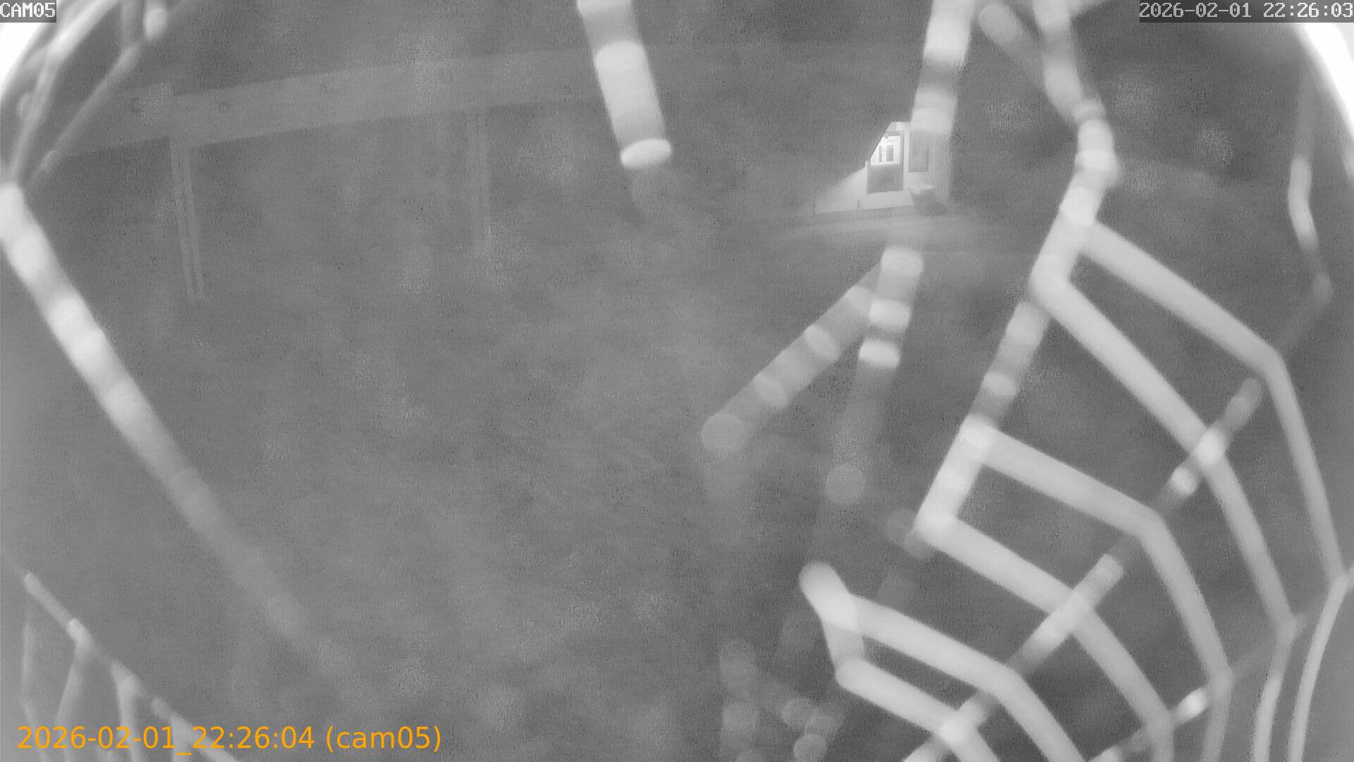 thumbnail_20260201222604