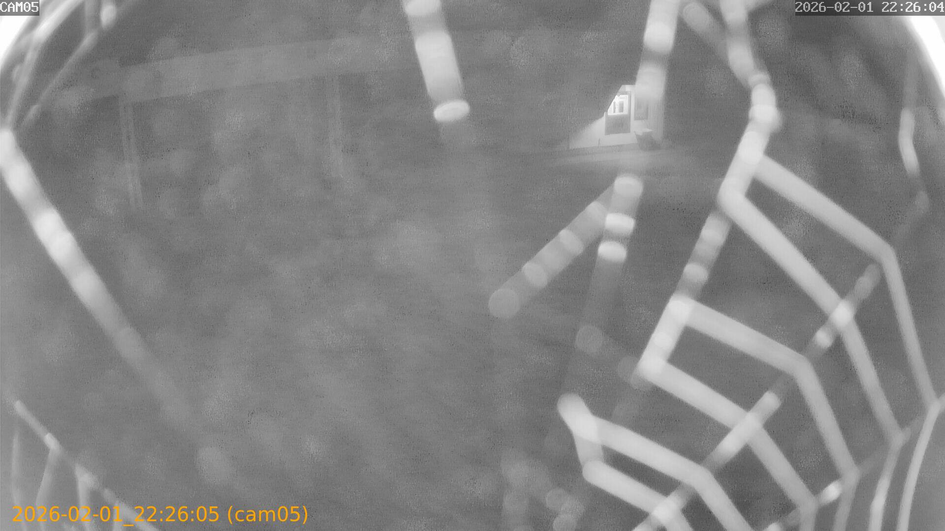 thumbnail_20260201222605