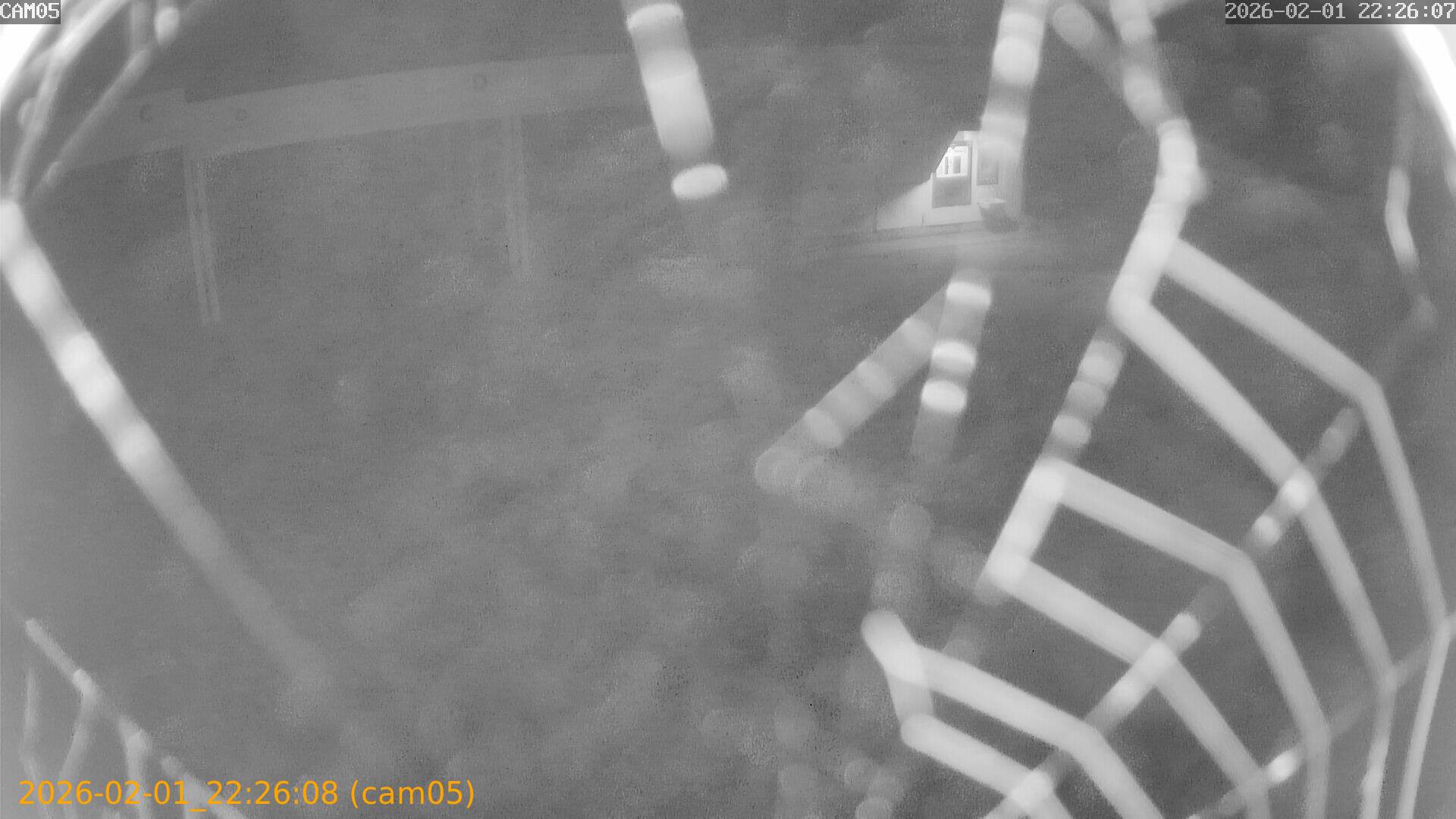 thumbnail_20260201222608