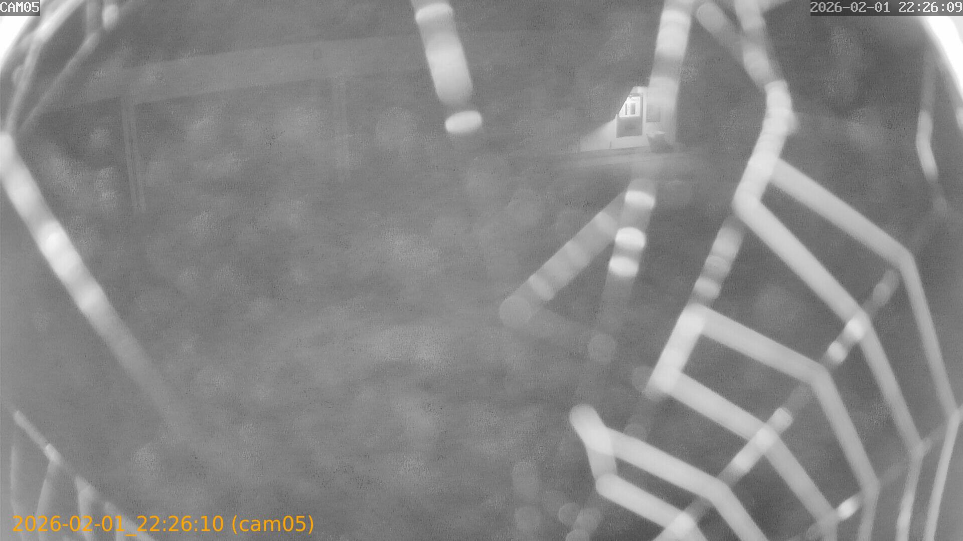 thumbnail_20260201222610